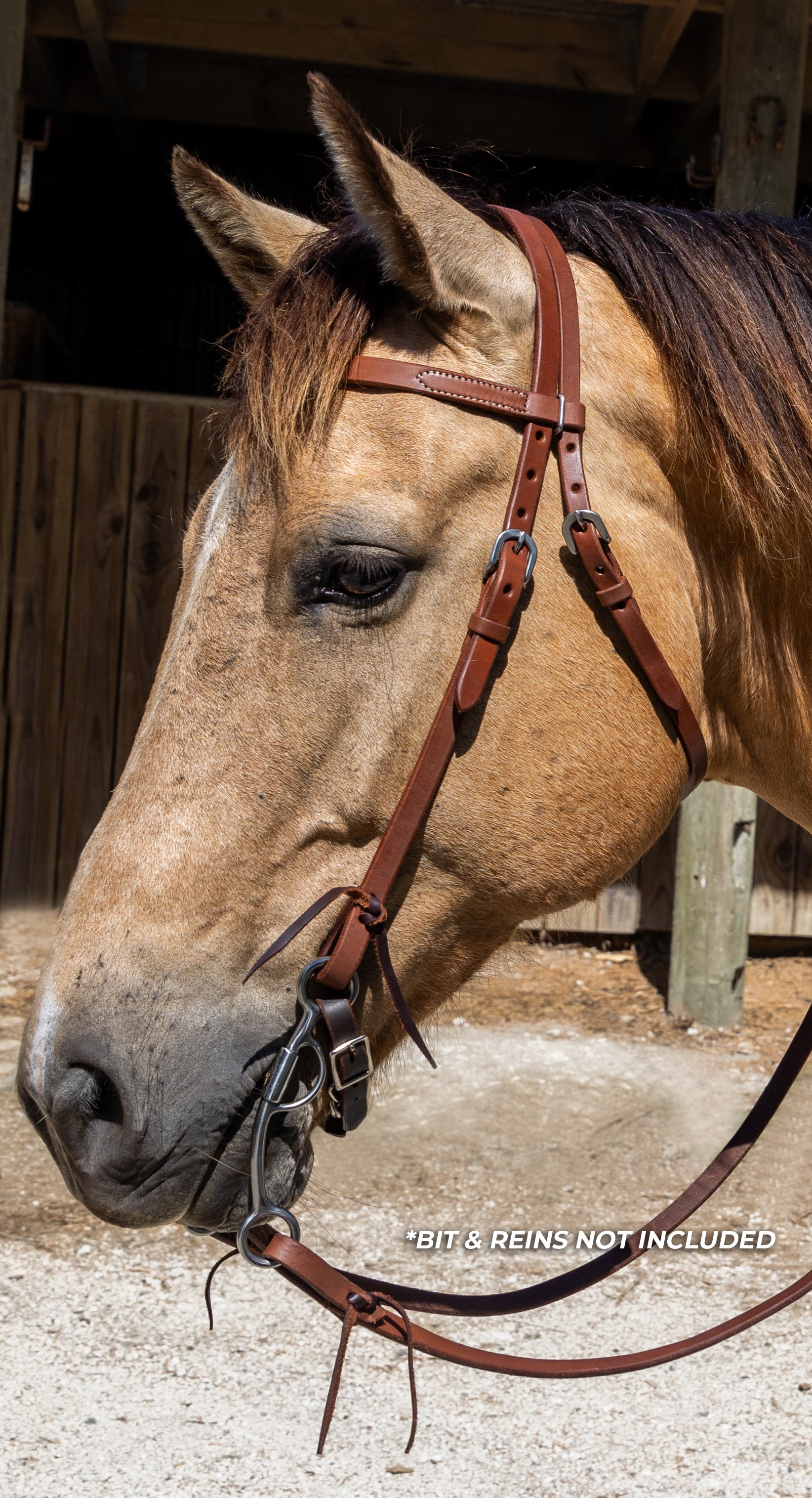 Origin Rocky Browband Headstall