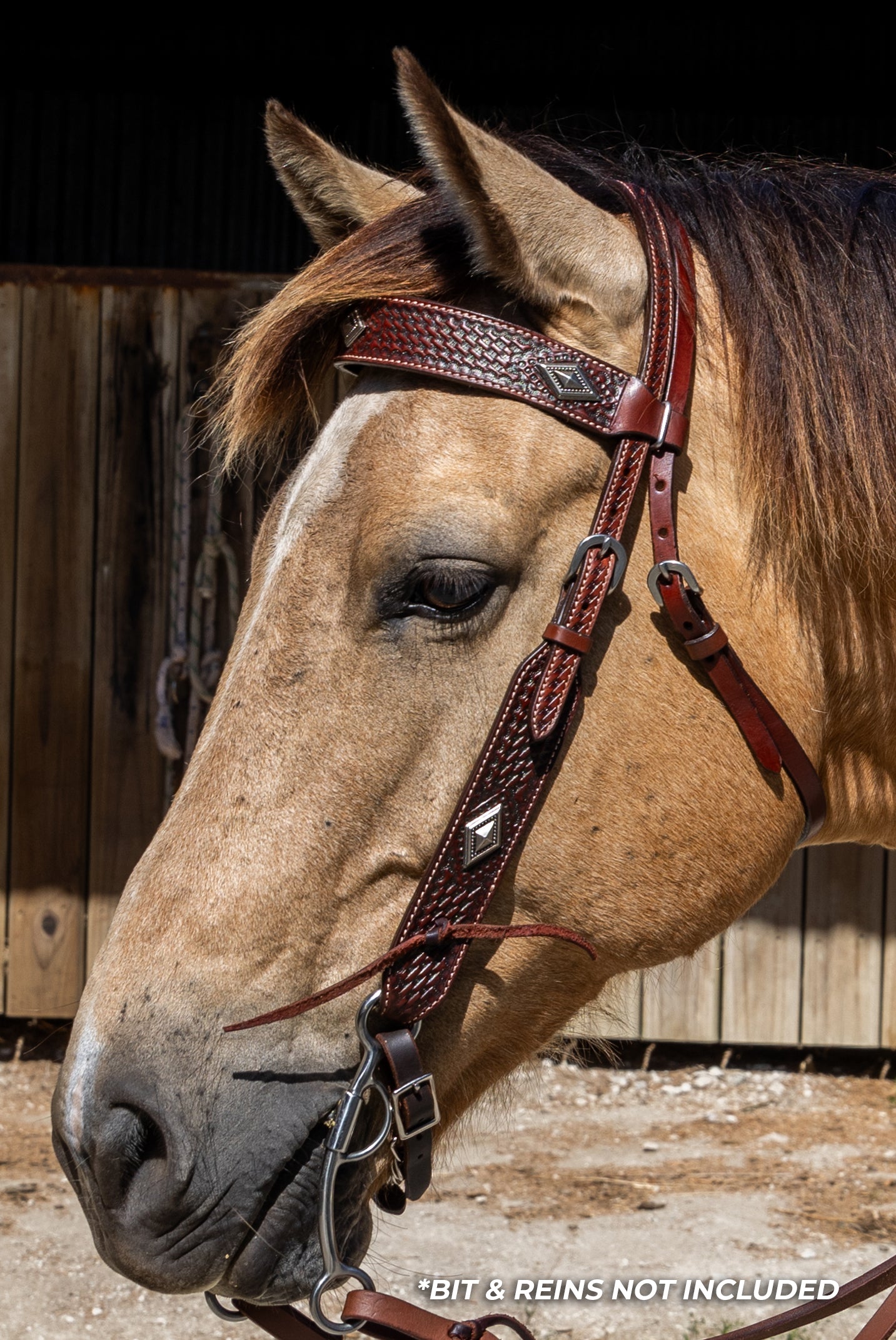 Origin Sierra Browband Headstall