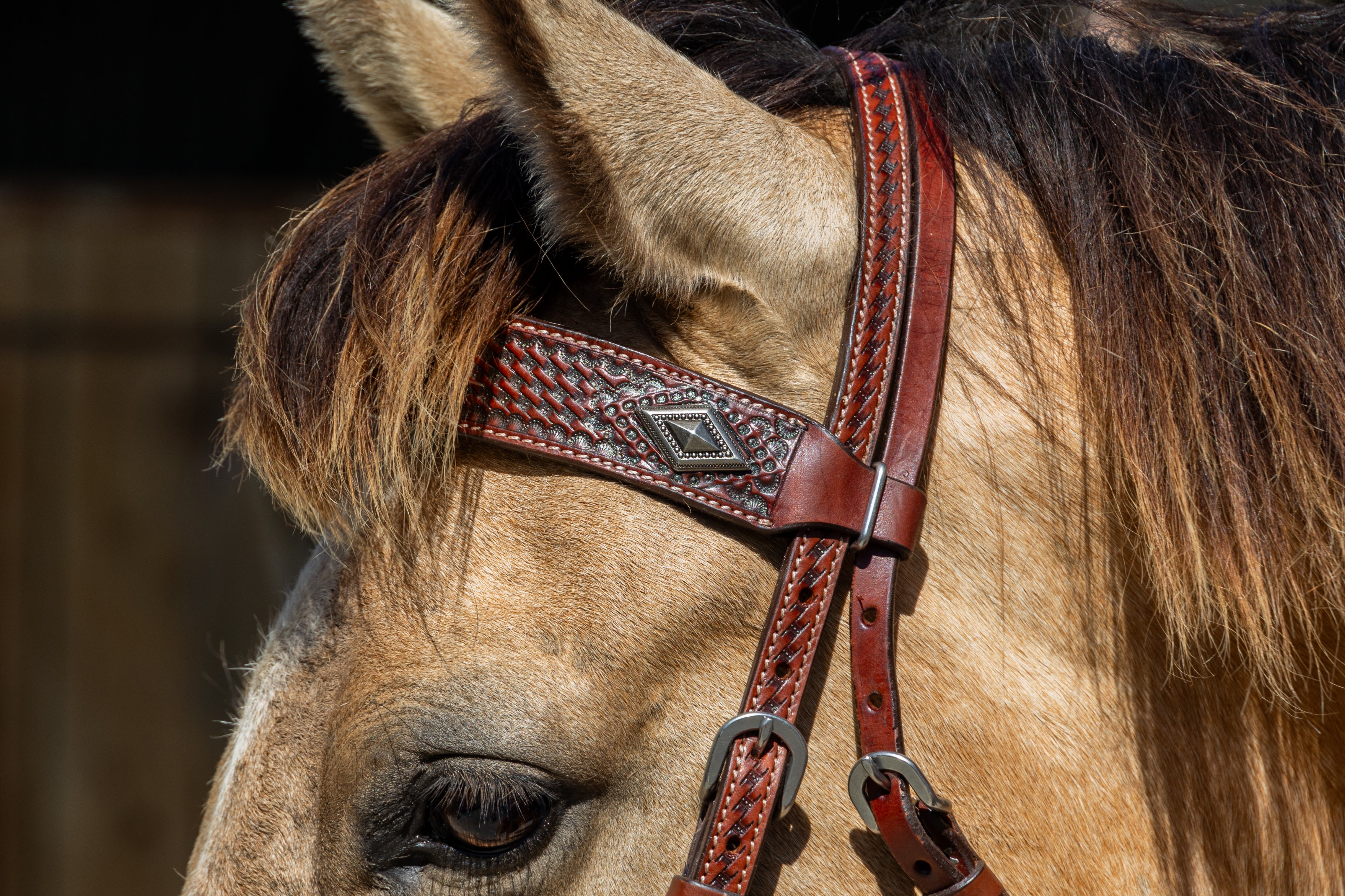 Origin Sierra Browband Headstall