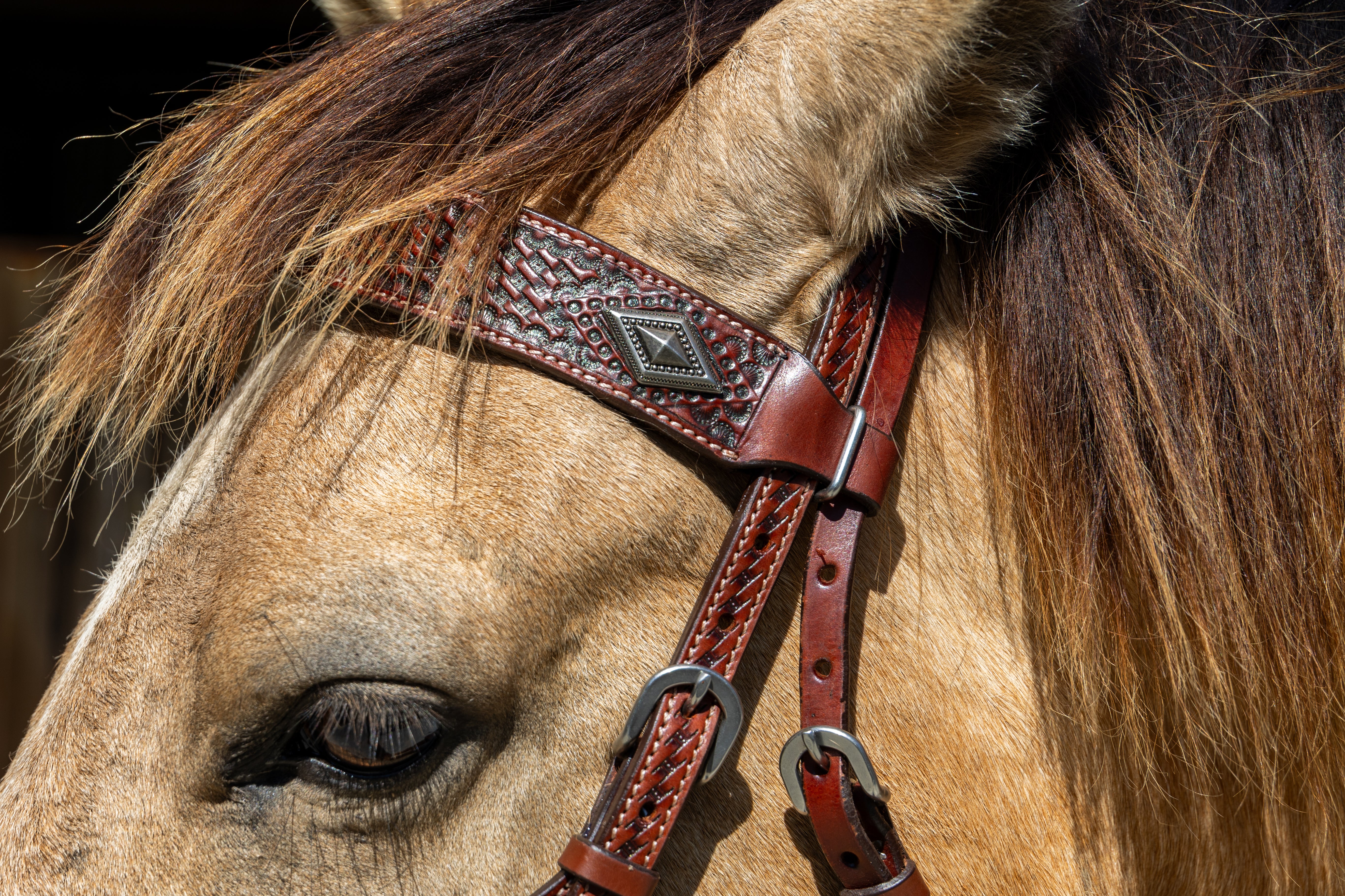 Origin Sierra Browband Headstall