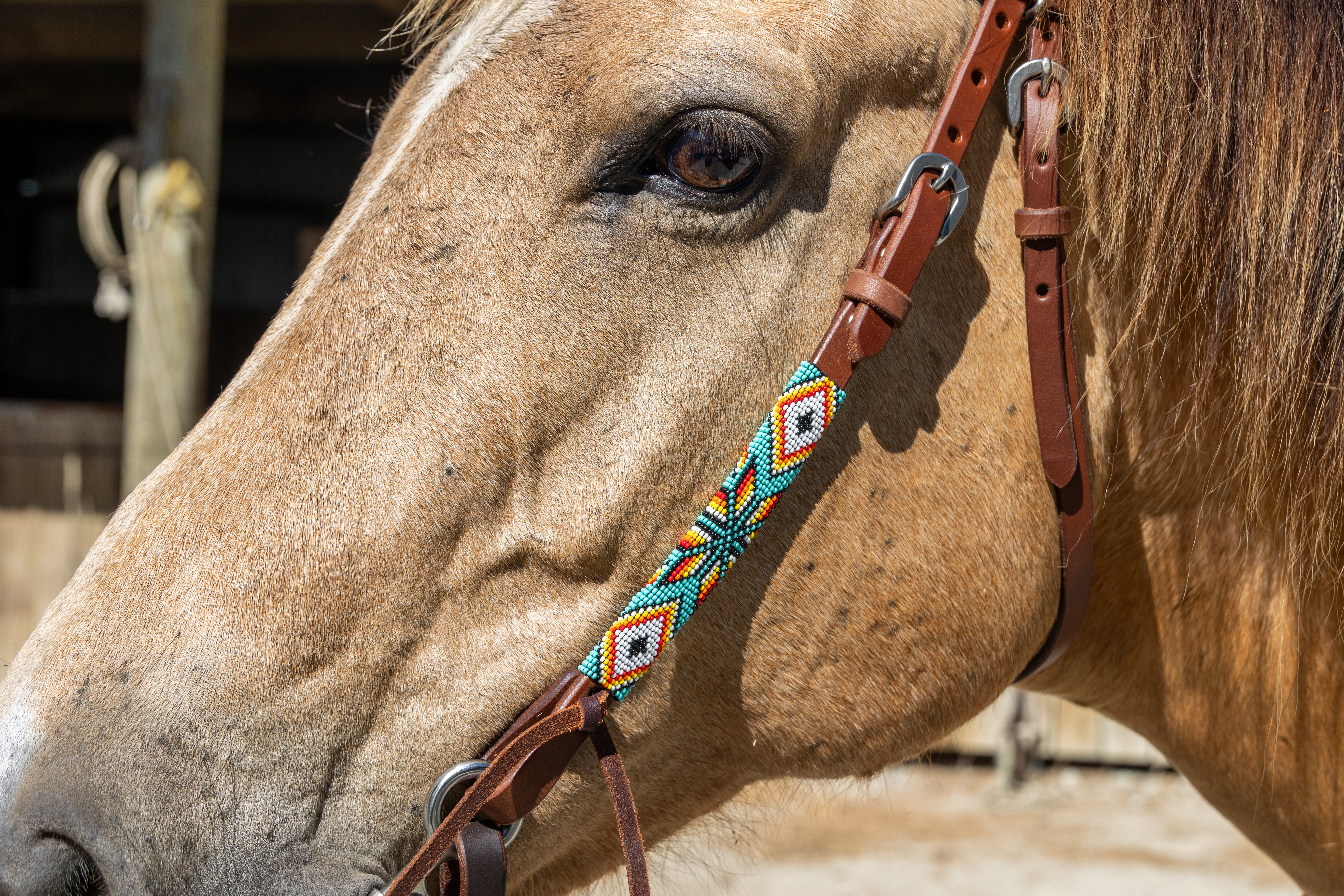 Origin Sonoran Browband Headstall