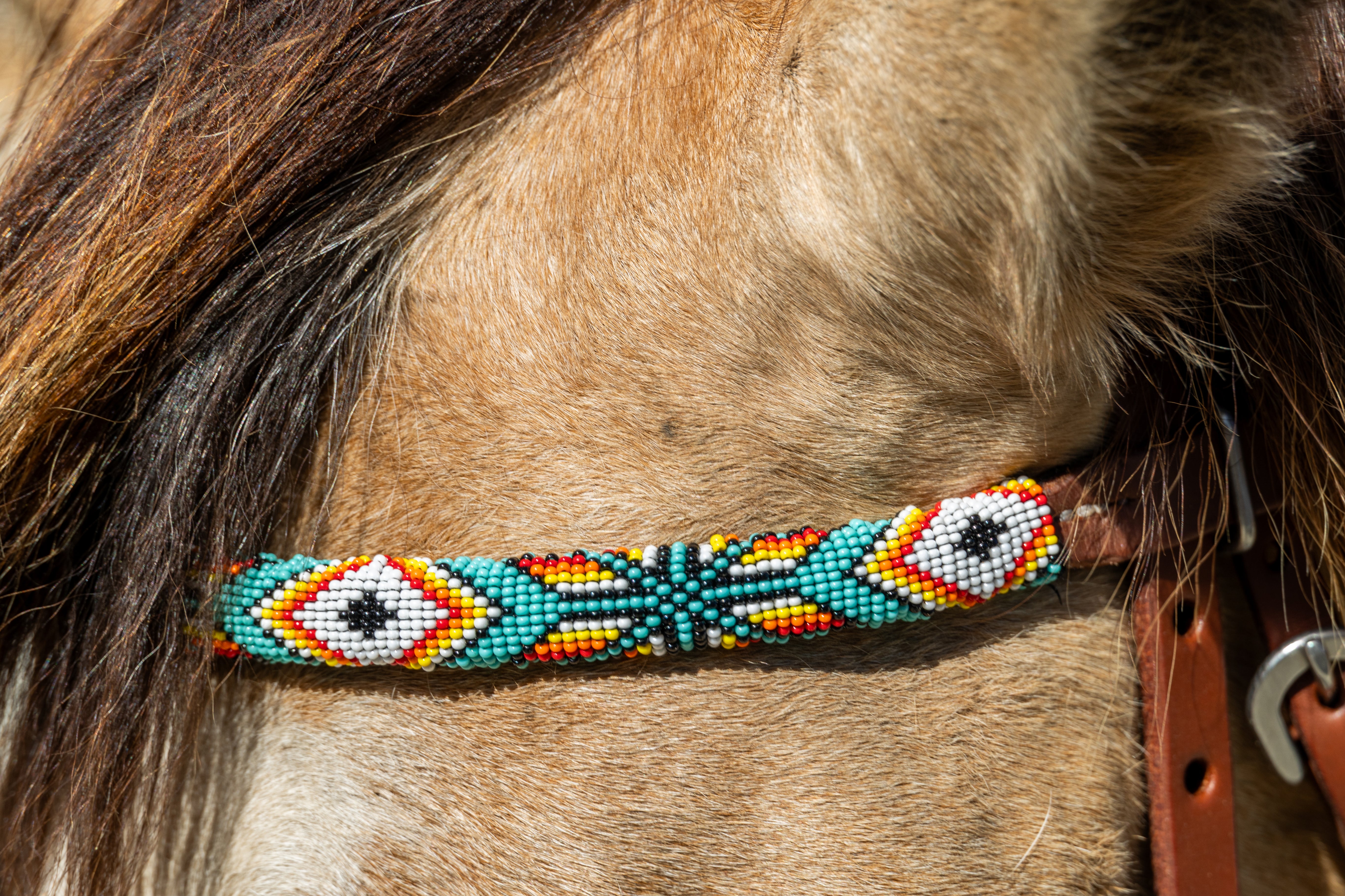 Origin Sonoran Browband Headstall