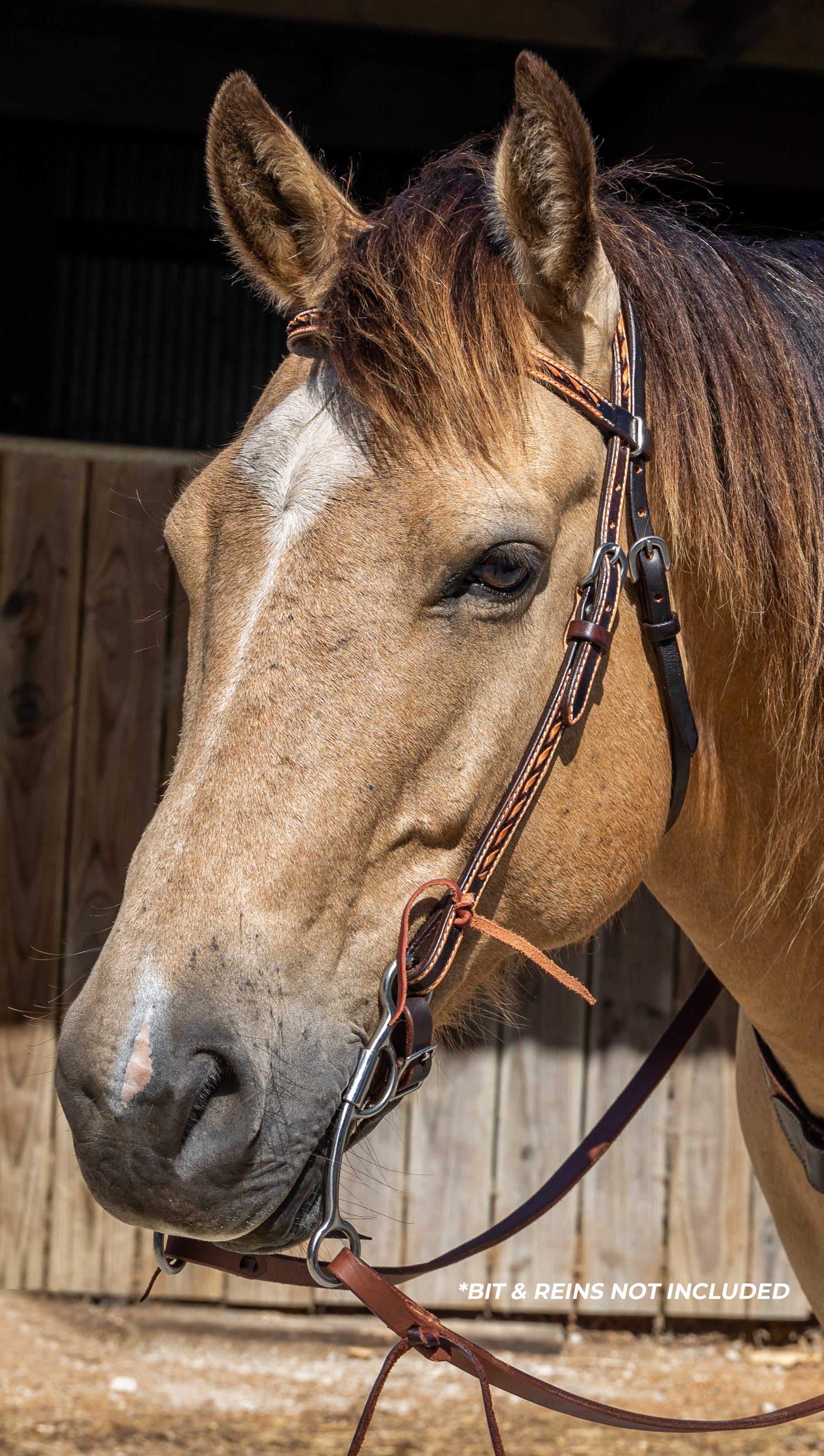 Origin Utah Browband Headstall
