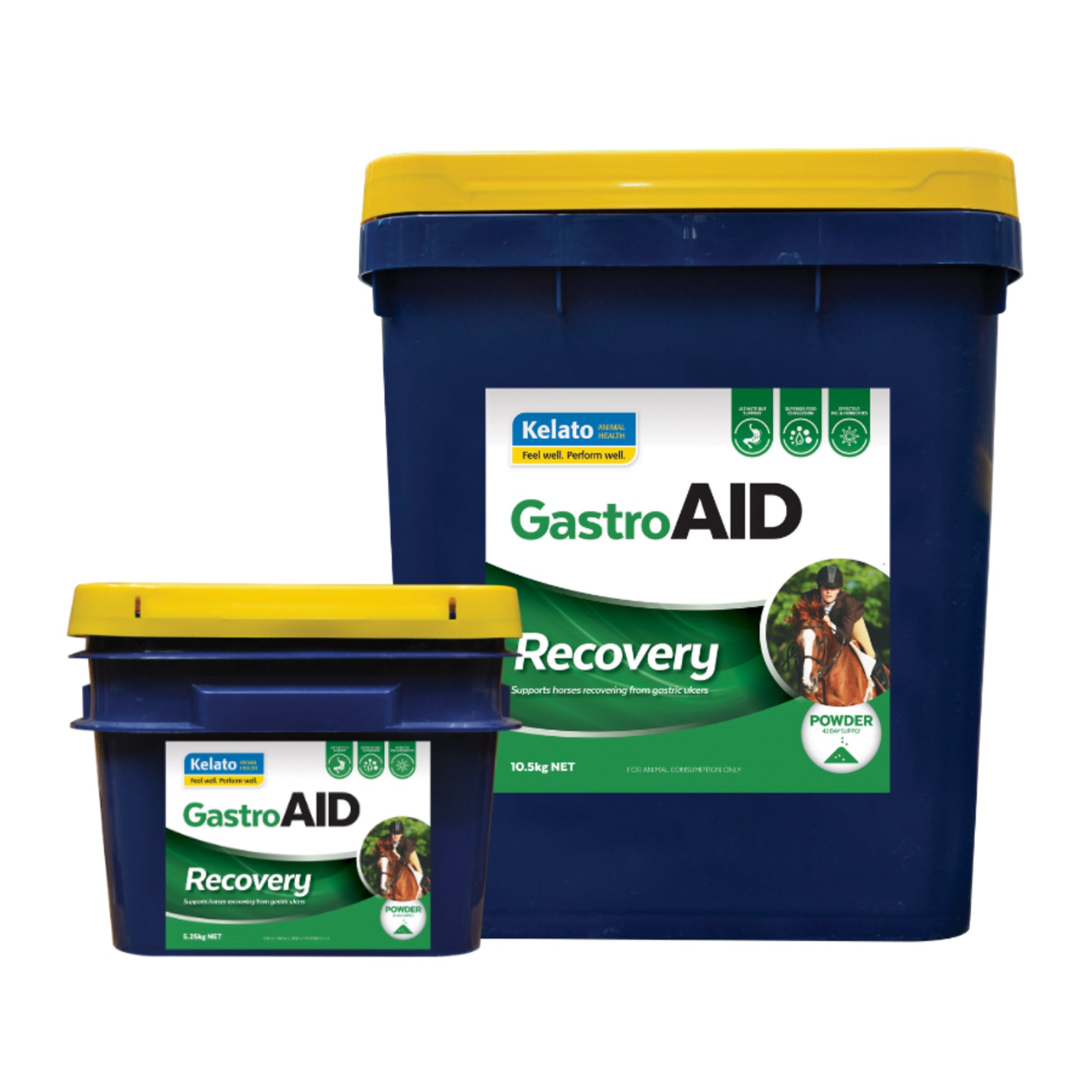 Kelato GastroAID Recovery