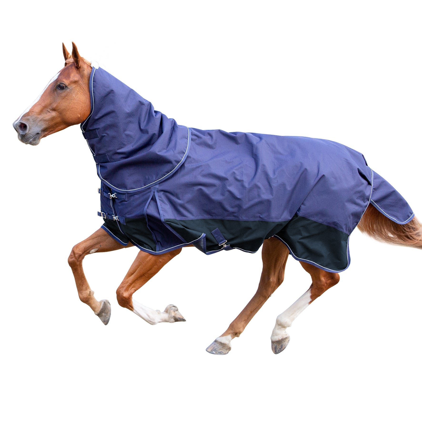 KiwiBlack 1200 Airflow Rug Set One / 3.9