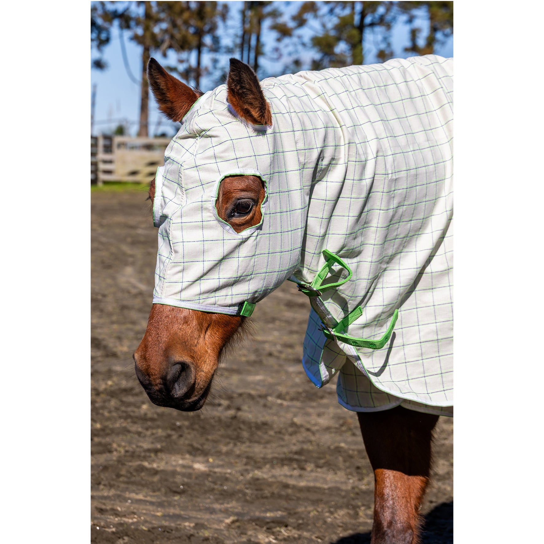 KiwiBlack Crossover Hood One / Cob
