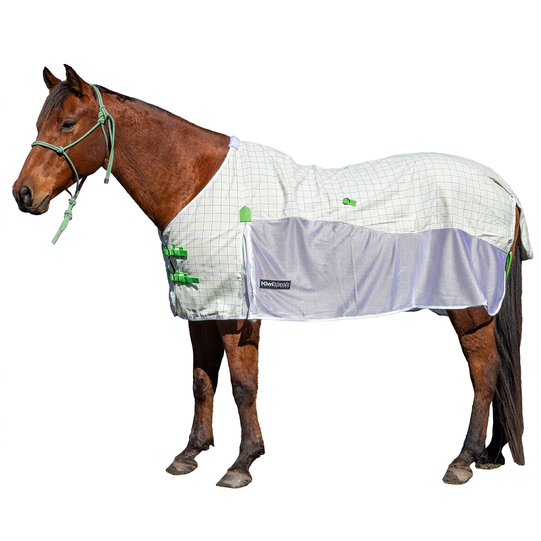 KiwiBlack Crossover Rug Only One / 3