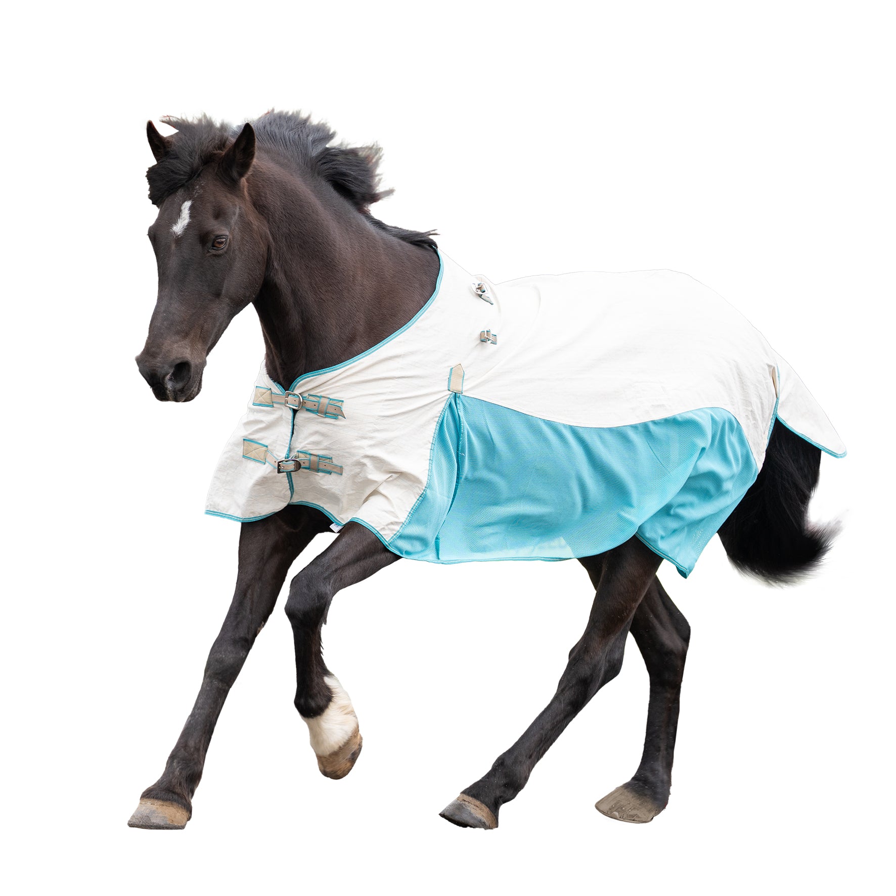 KiwiBlack Crossover Rug Set One / 3