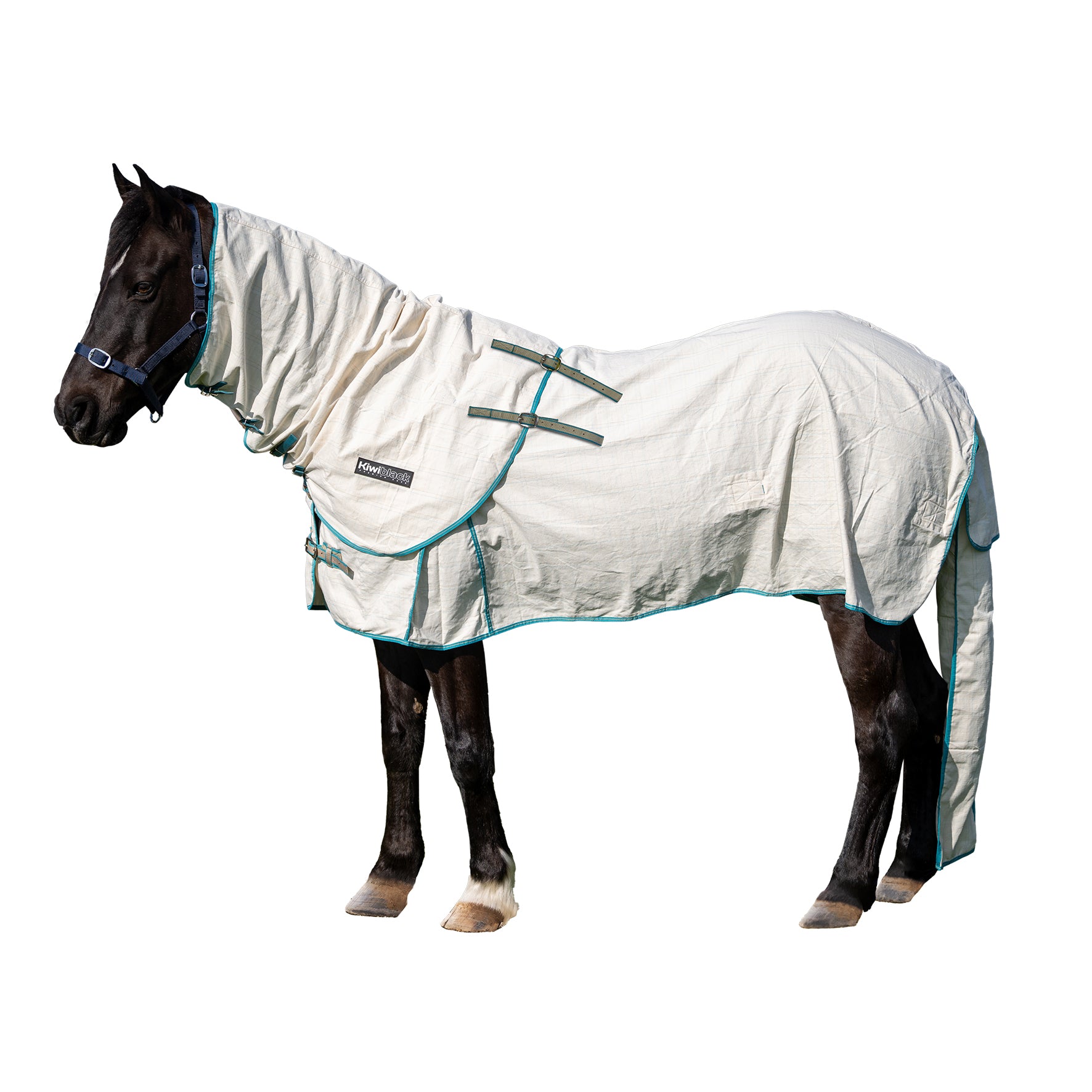 KiwiBlack Kooler Rug Set One / 3