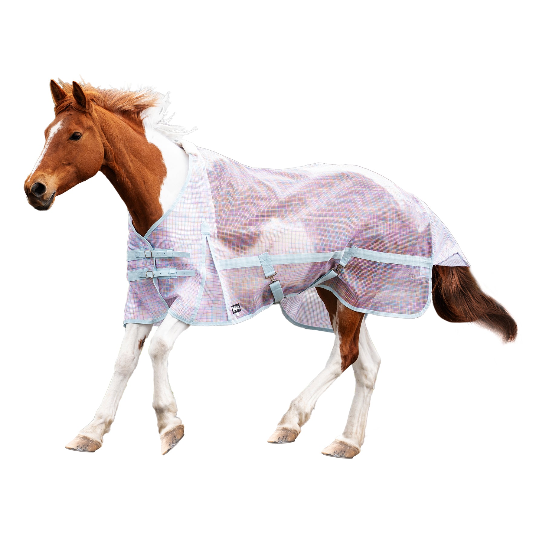 KiwiBlack Sunstopper Rug Only One / 4.3