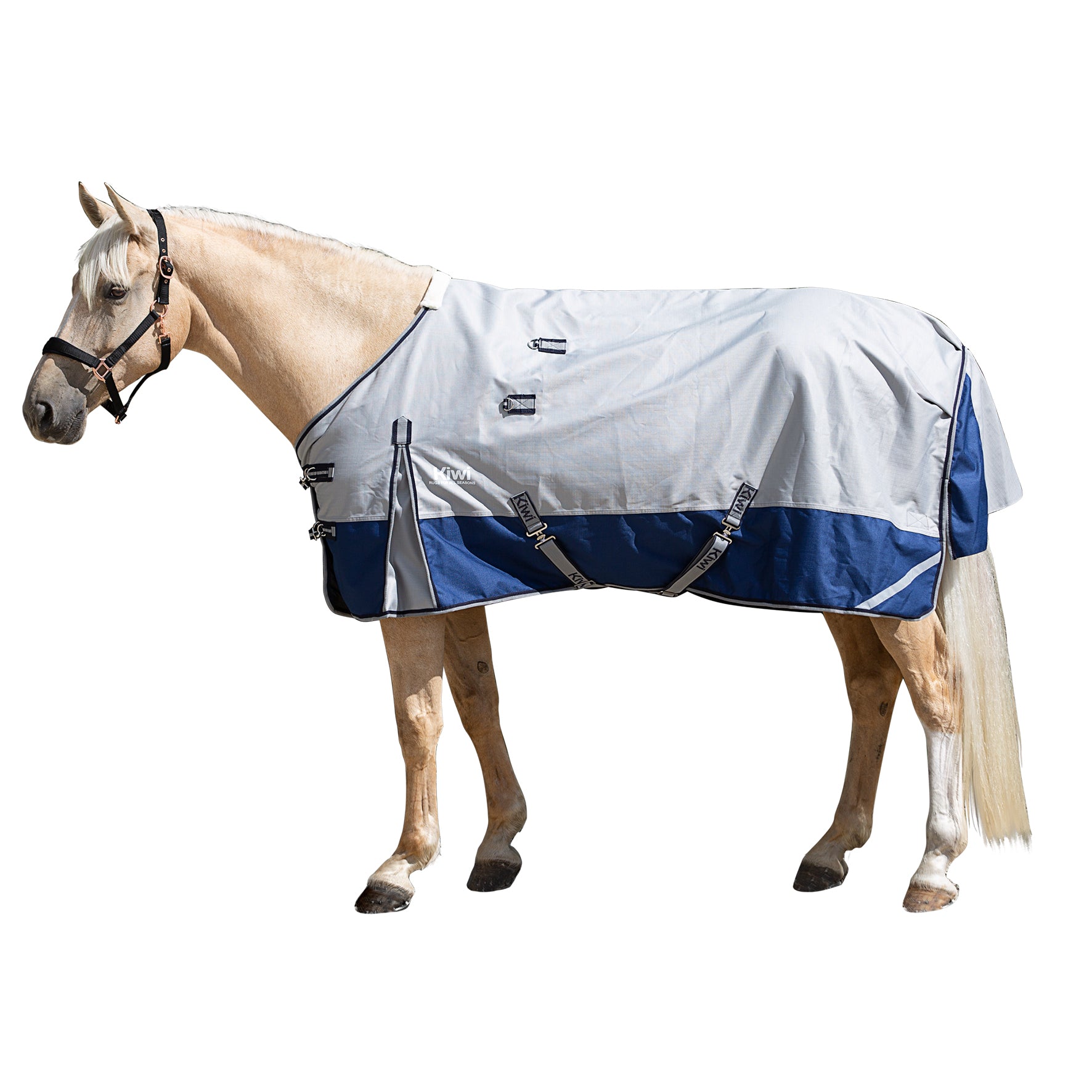 Kiwi 1200 Btween Rug Only One / 3.9