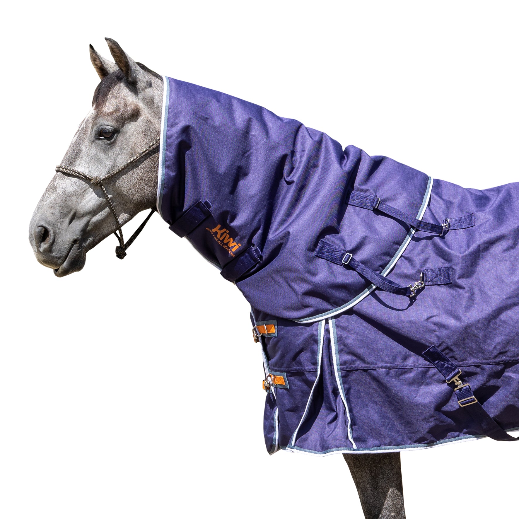 Kiwi 1200 Neck Rug 200g One / X Large