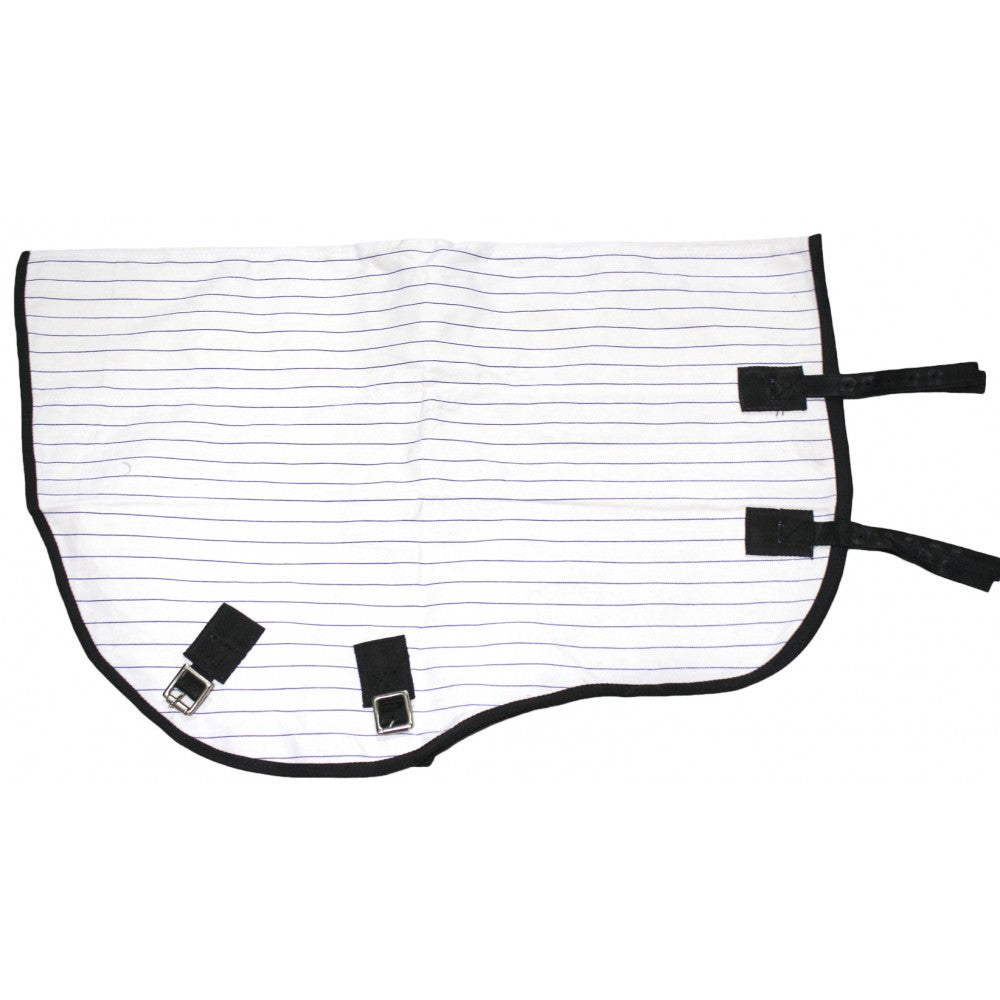 Kiwi 15oz Economy Canvas Neck% One / Large
