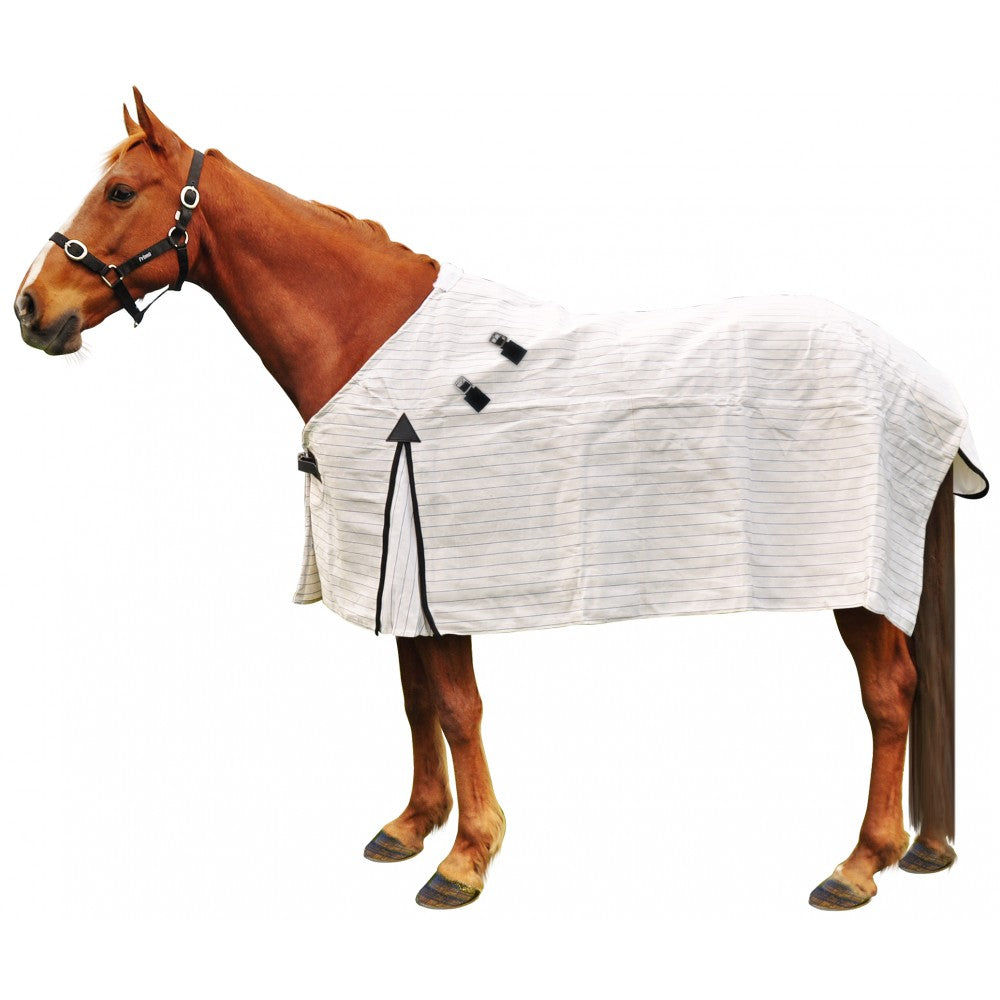 Kiwi 15oz Economy Canvas Rug% One / 3