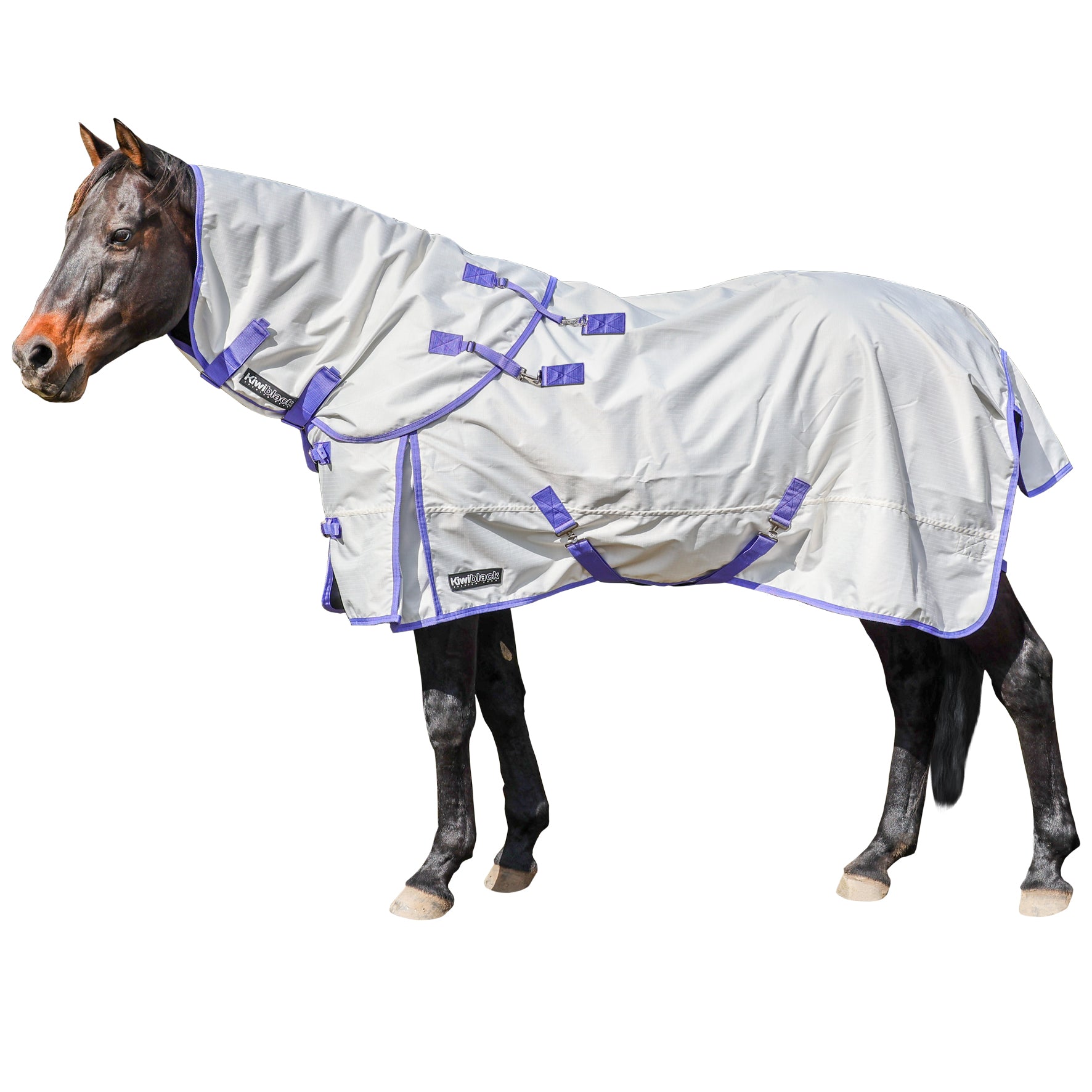 Kiwi 600 Summer Rug One / 3