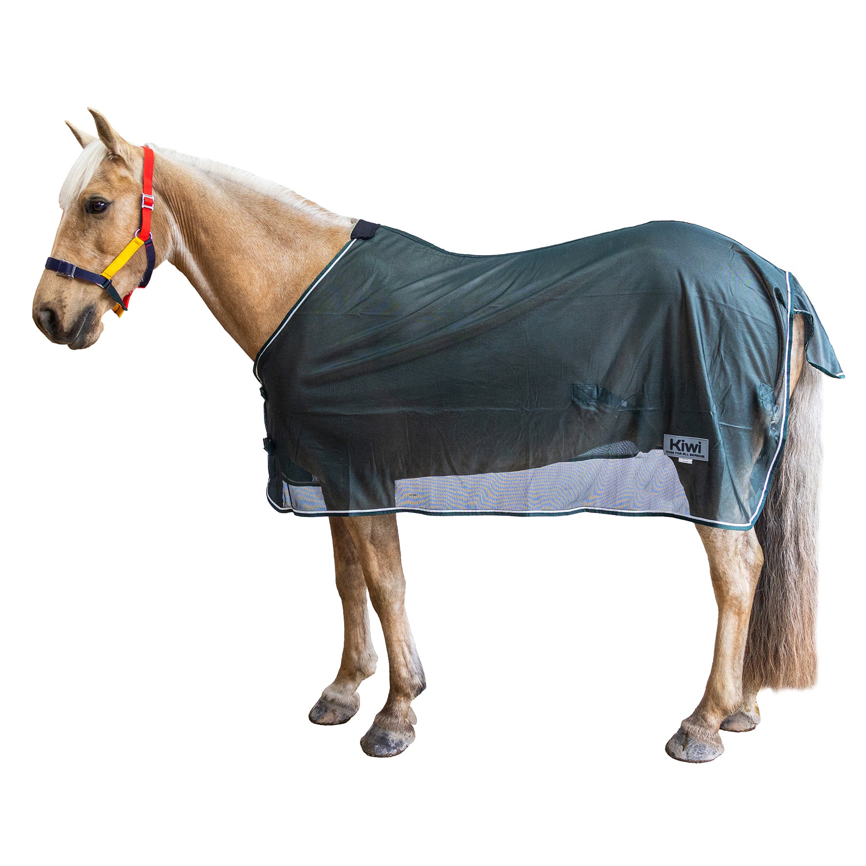 Kiwi Mesh Fly Rug Green / 3.9