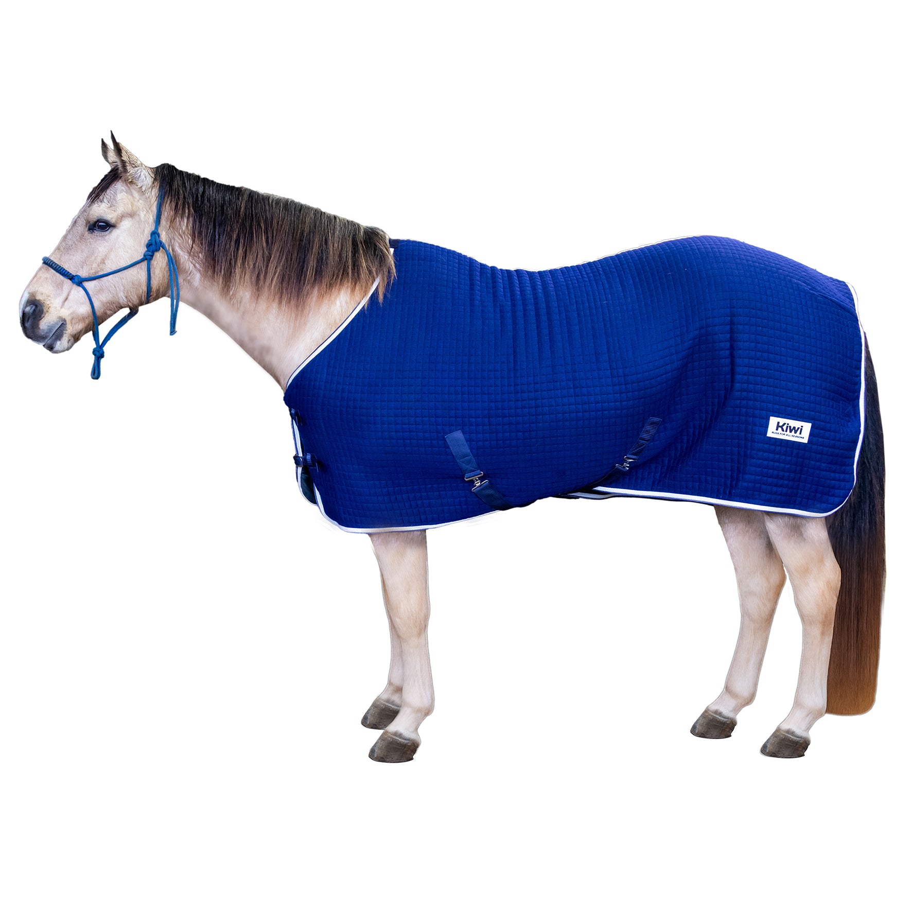 Kiwi Thermal Wicking Rug Navy / 4.6