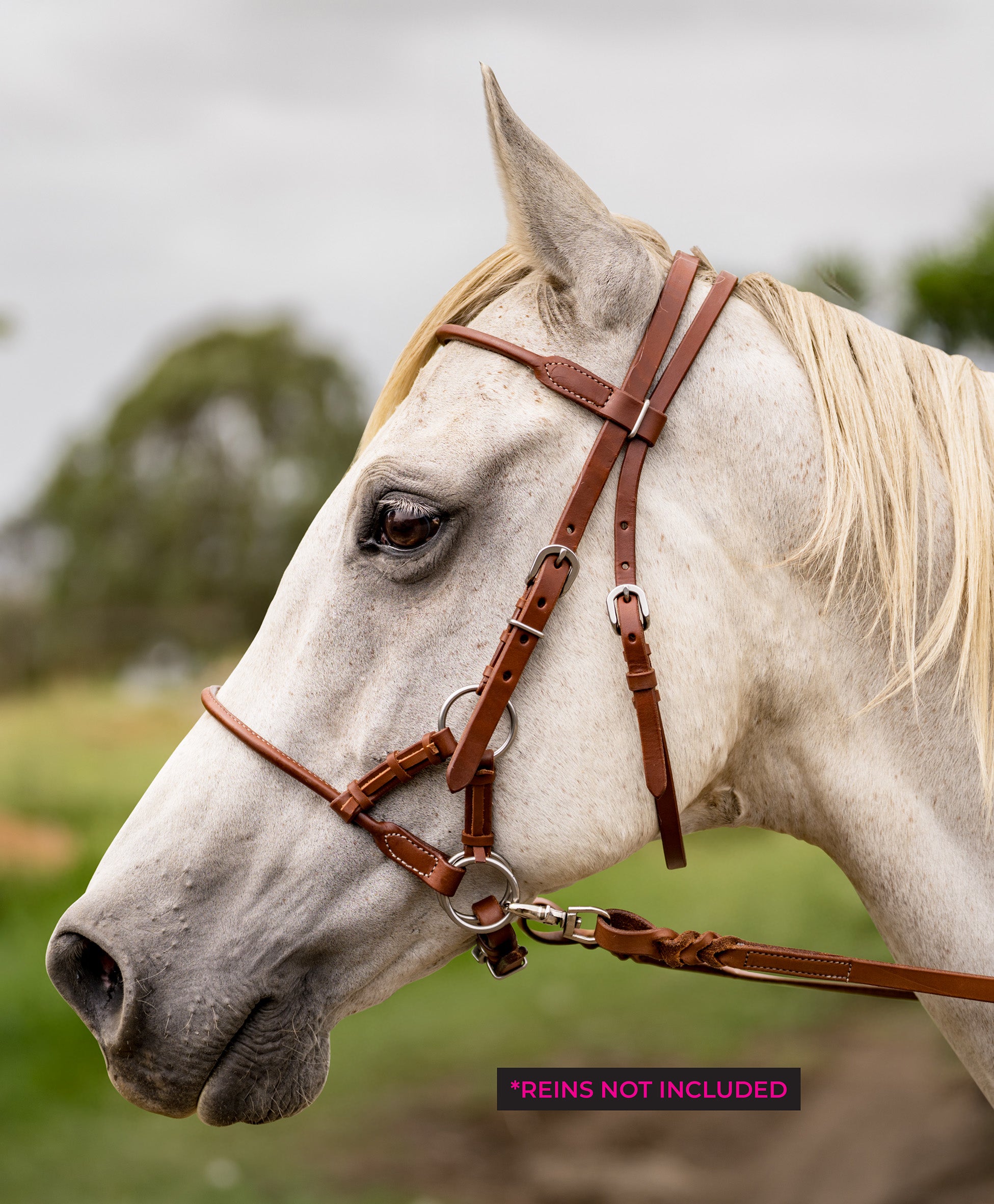 Origin Bitless Bridle