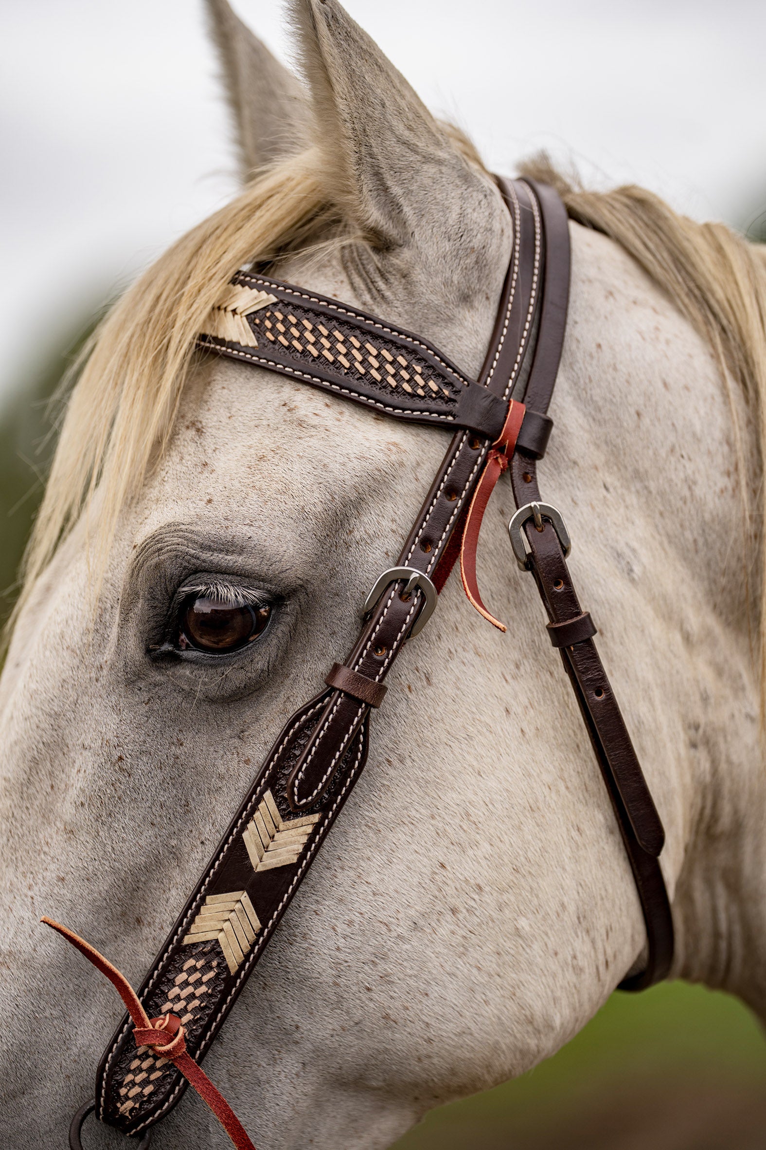 Origin Hitchcloth HS Tooling Rawhide