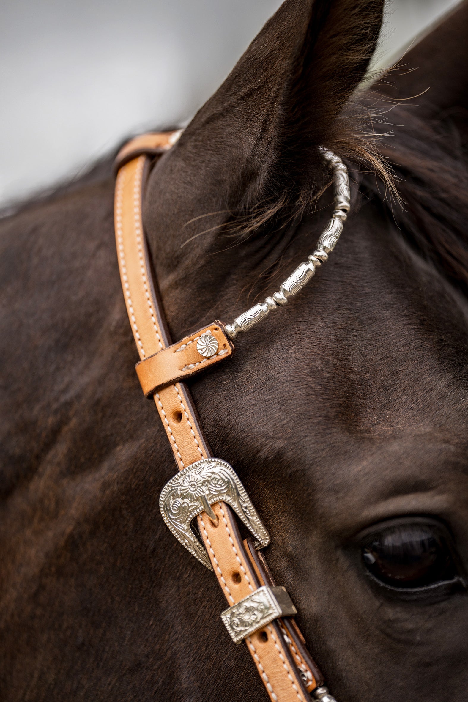 Origin One Ear Headstall wSilver Piping