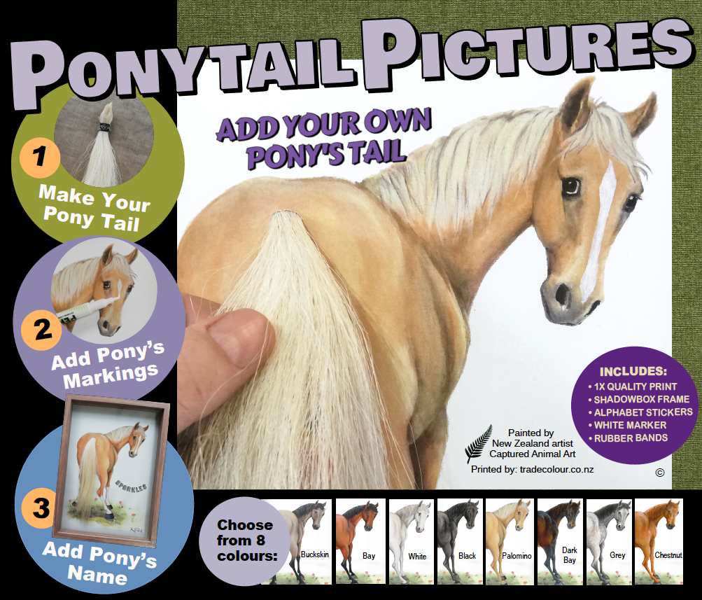 Pony Tail Pictures(Black Horse)