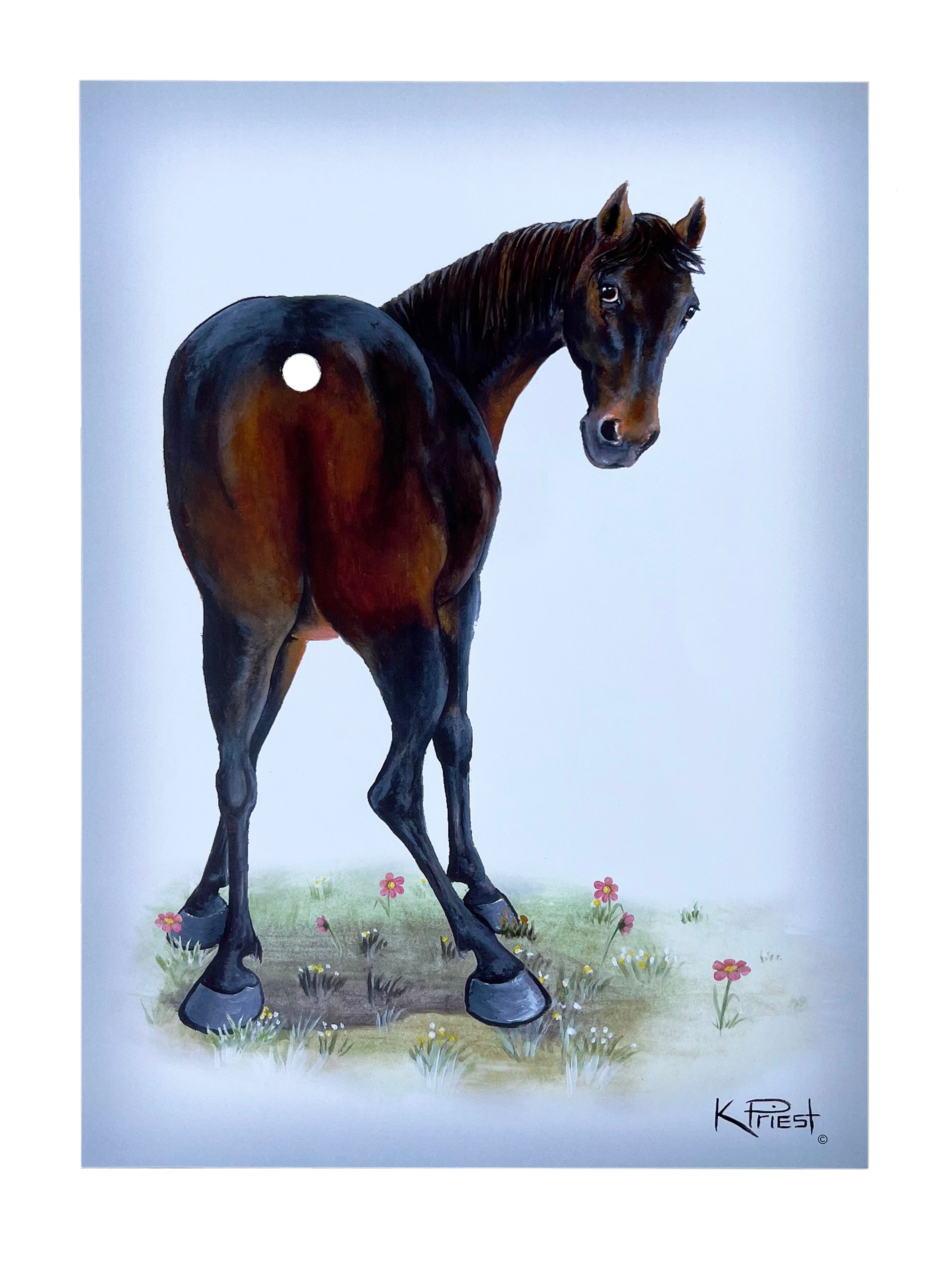 Pony Tail Pictures(Black Horse)