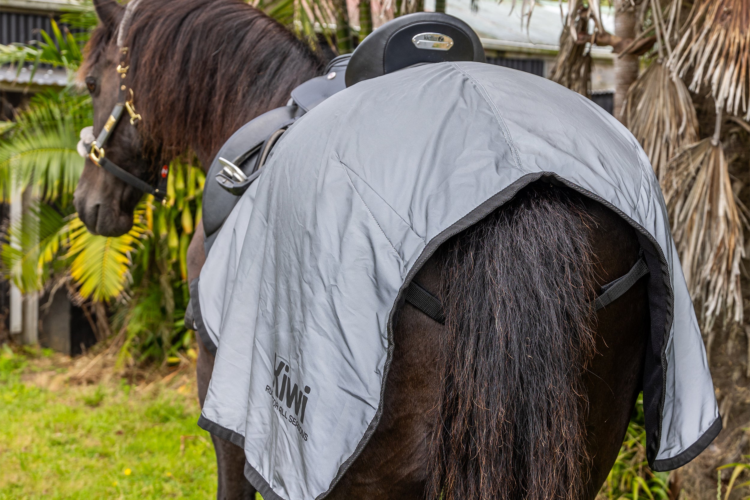 Reflective Riding Rug One / Large