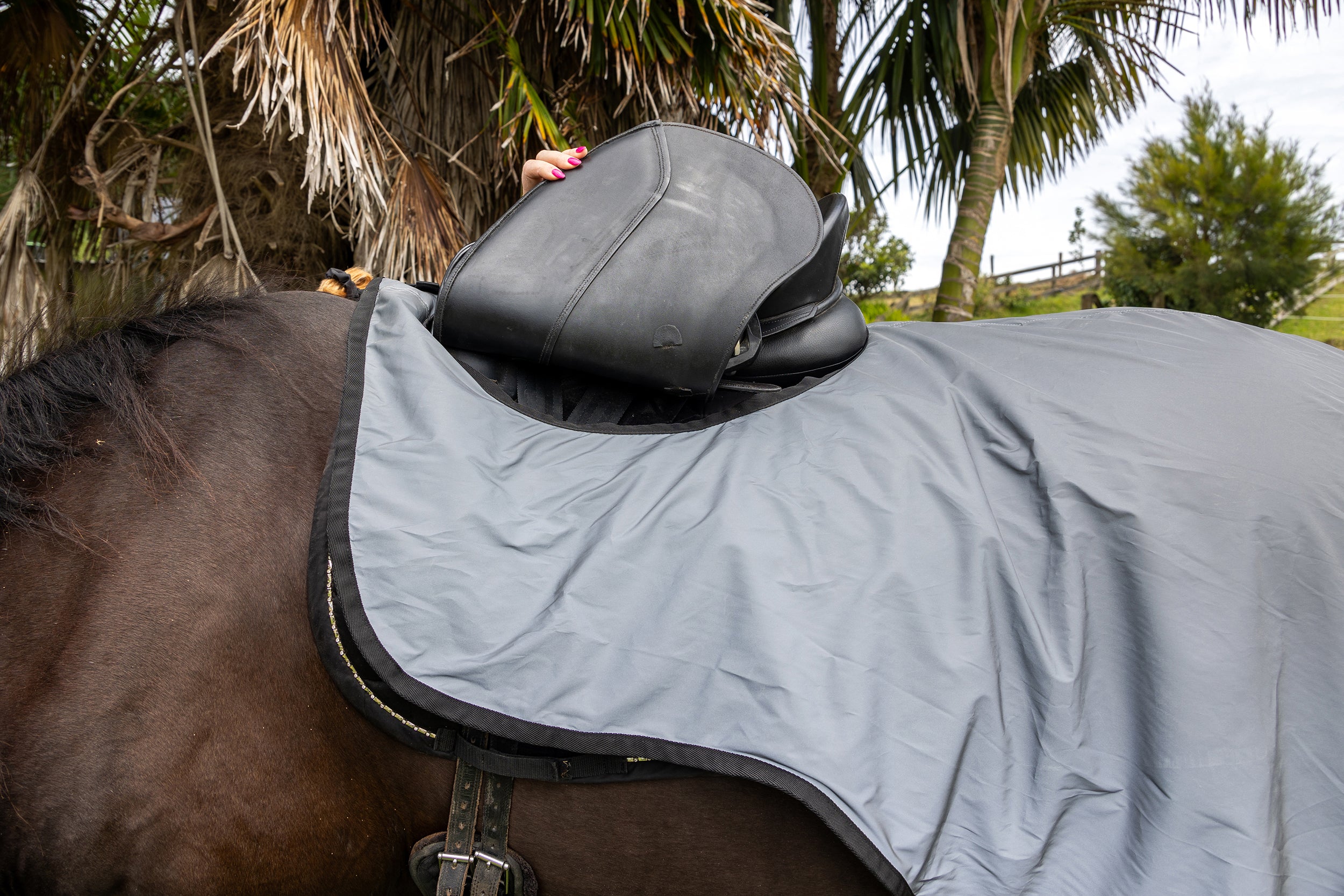 Reflective Riding Rug One / Large