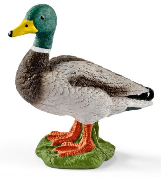 Schleich Drake