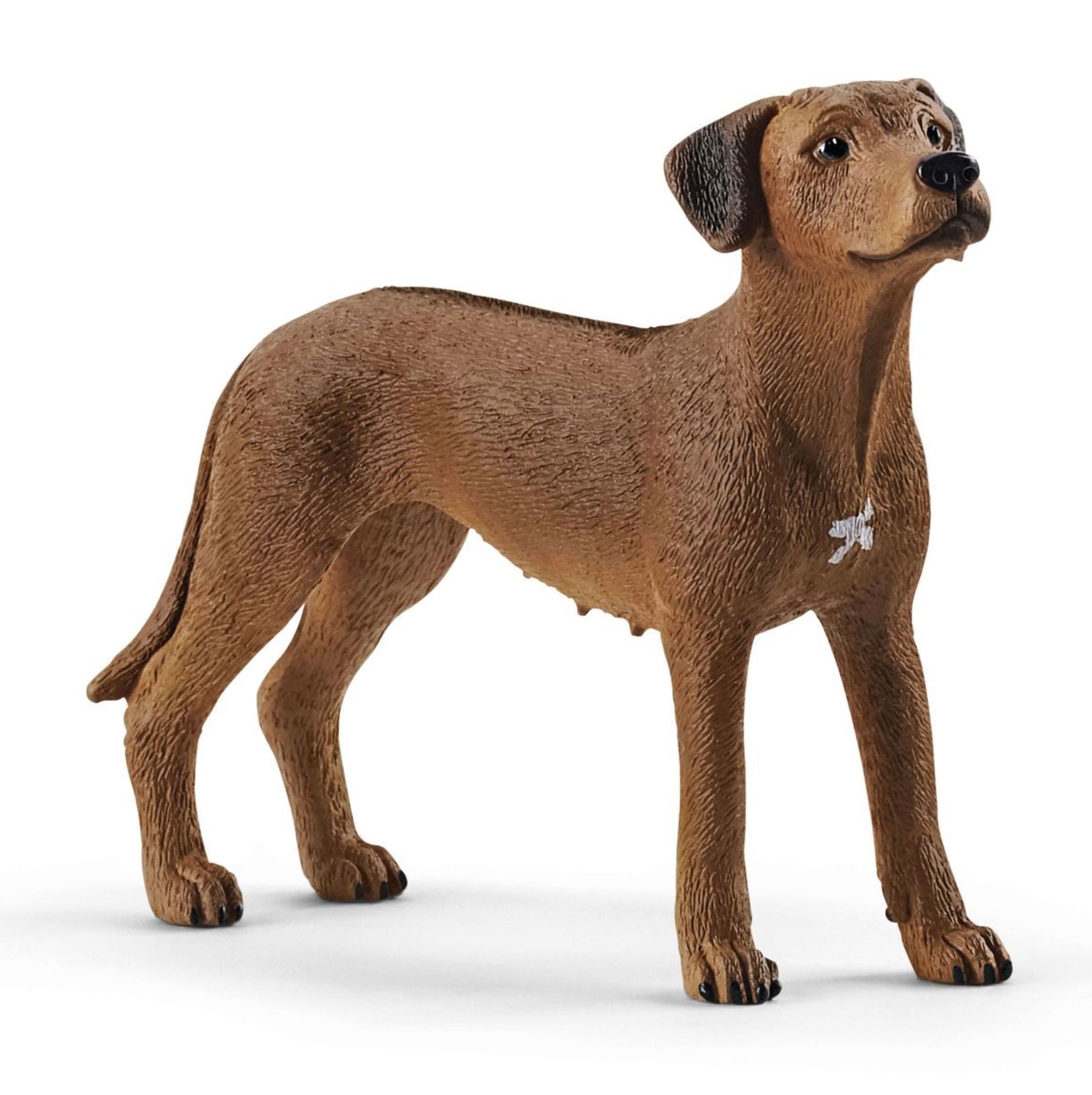 Schleich Rhodesian Ridgeback