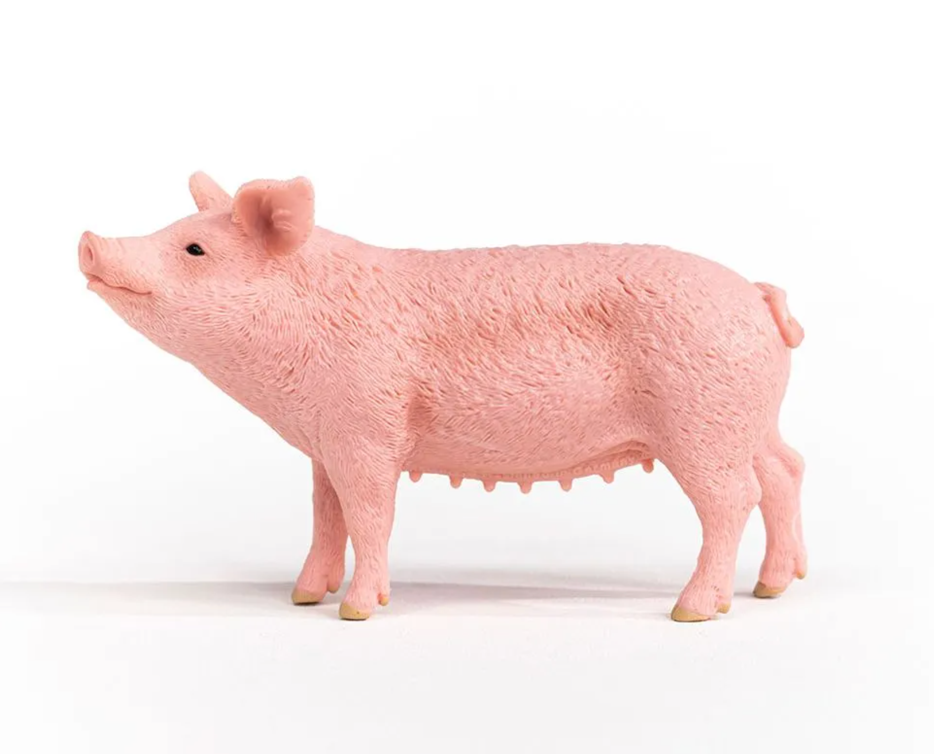 Schleich Pig