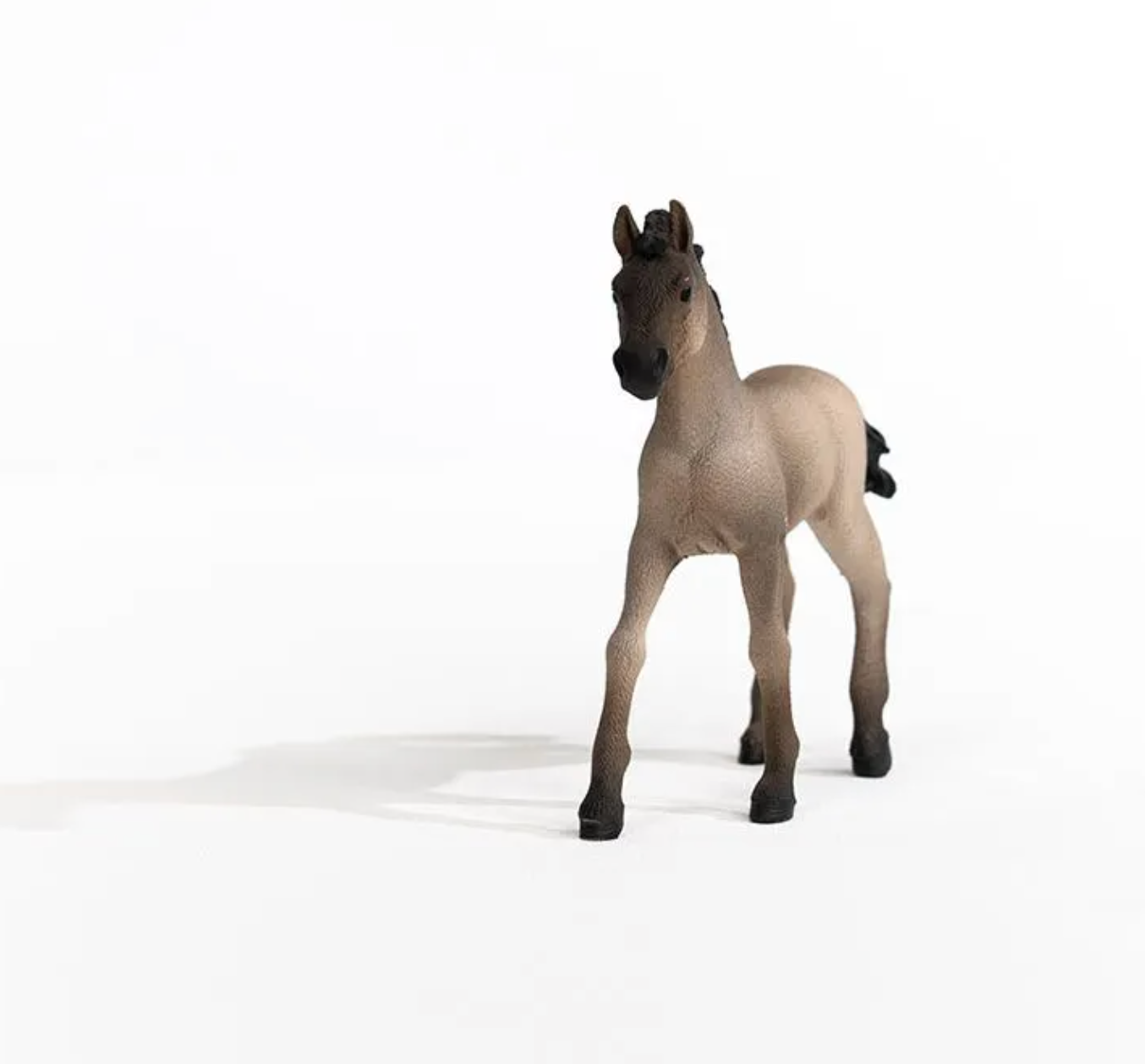 Schleich Criollo Definitivo Foal