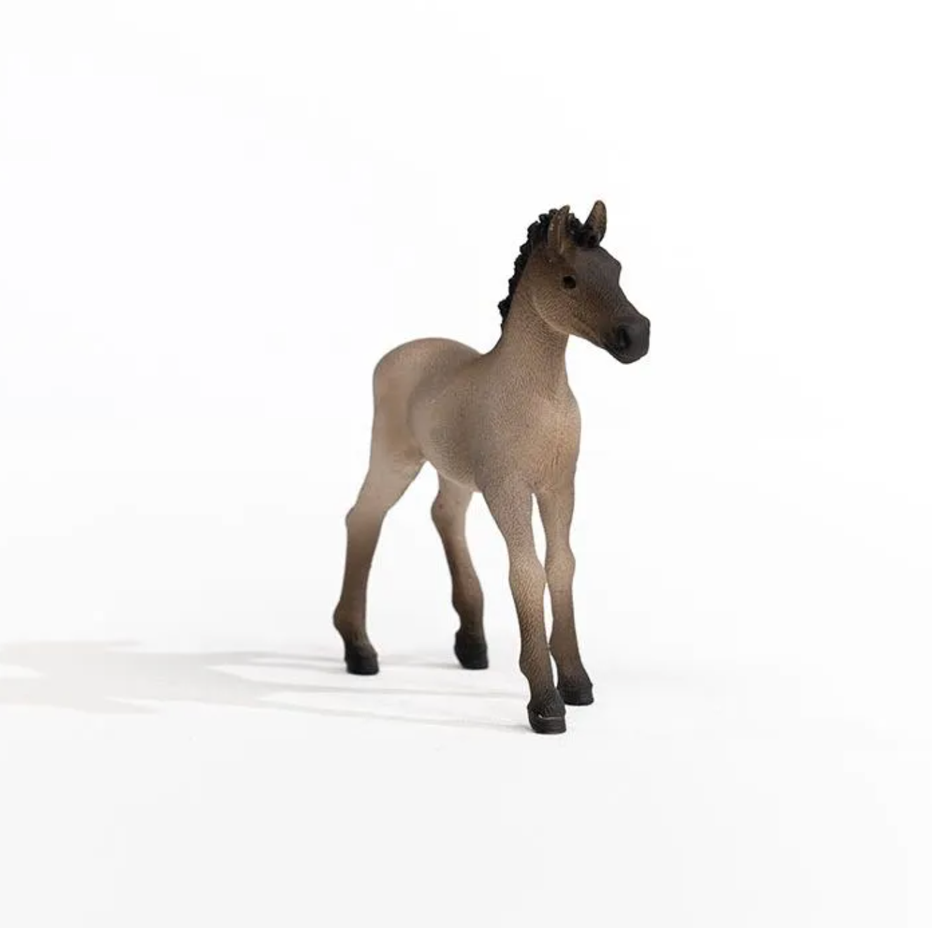 Schleich Criollo Definitivo Foal