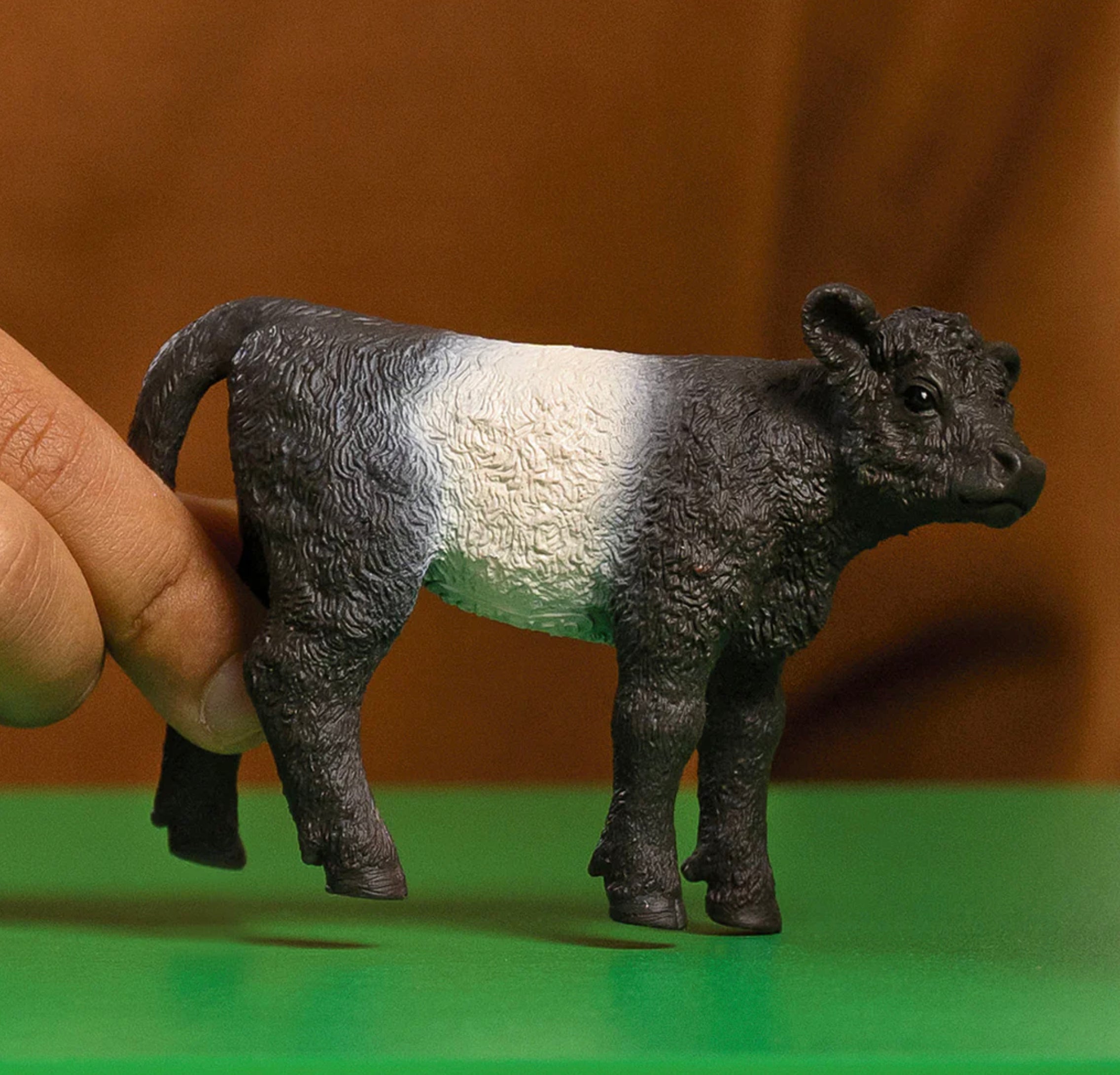 Schleich Galloway Calf