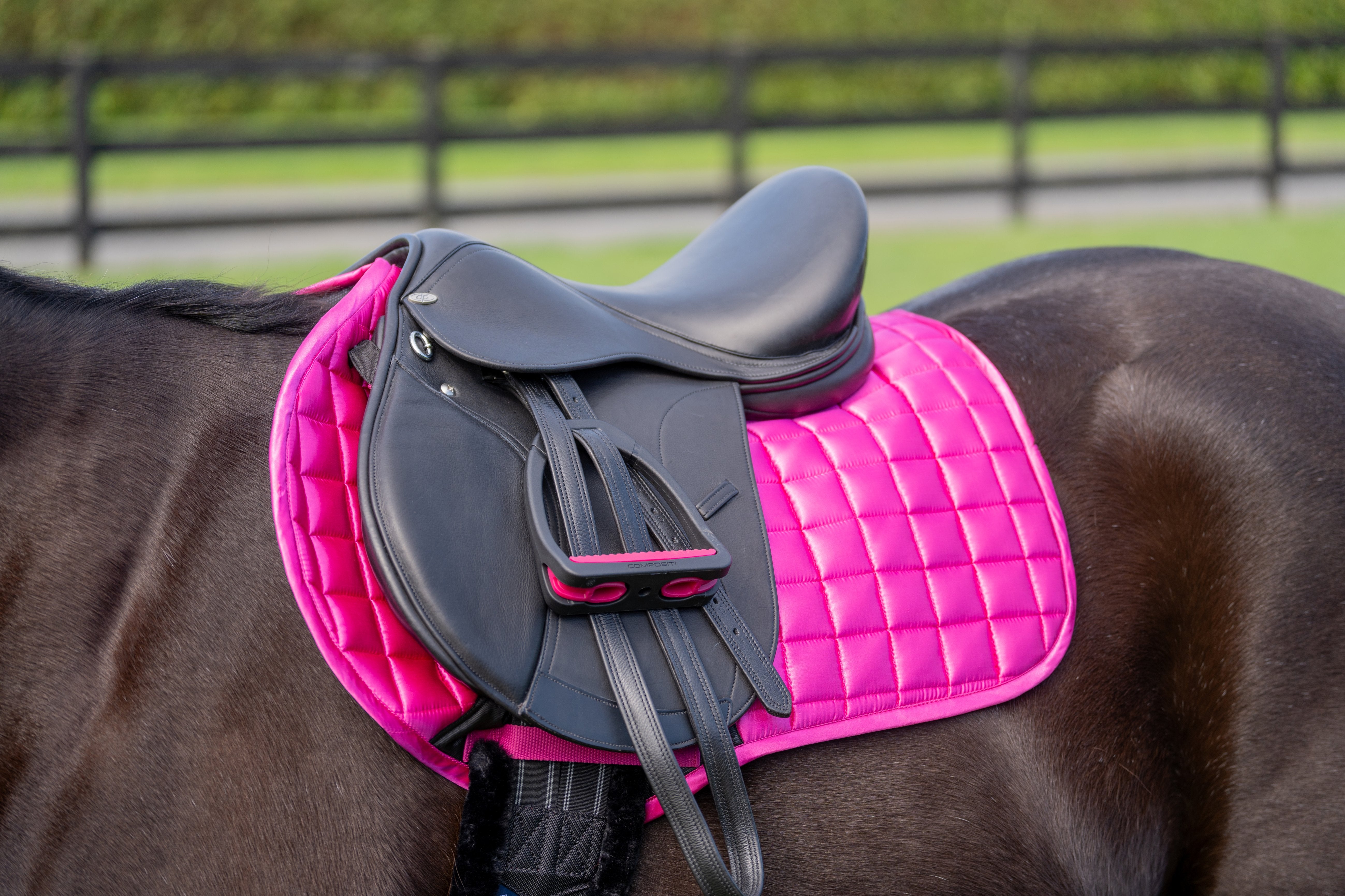 David Paul Milton GP Saddle Black / 16.5