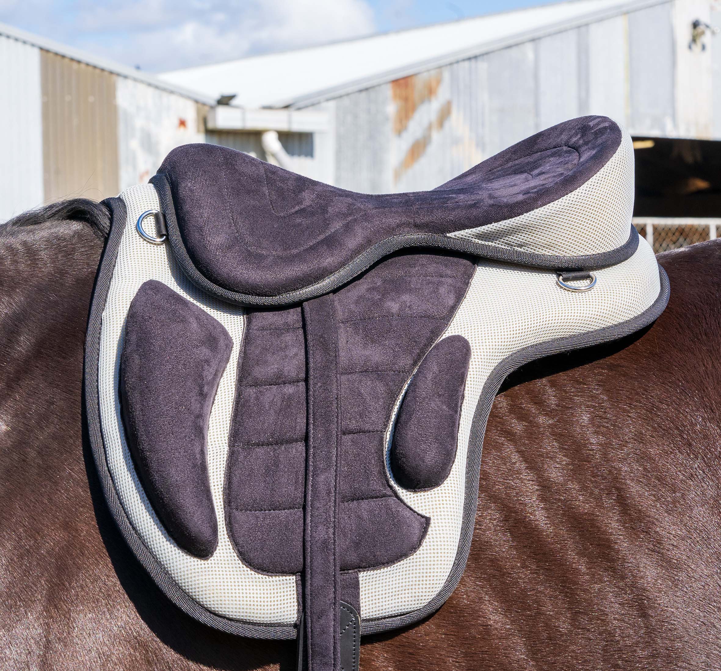 Enzo FreeMax Saddle Blue / 12