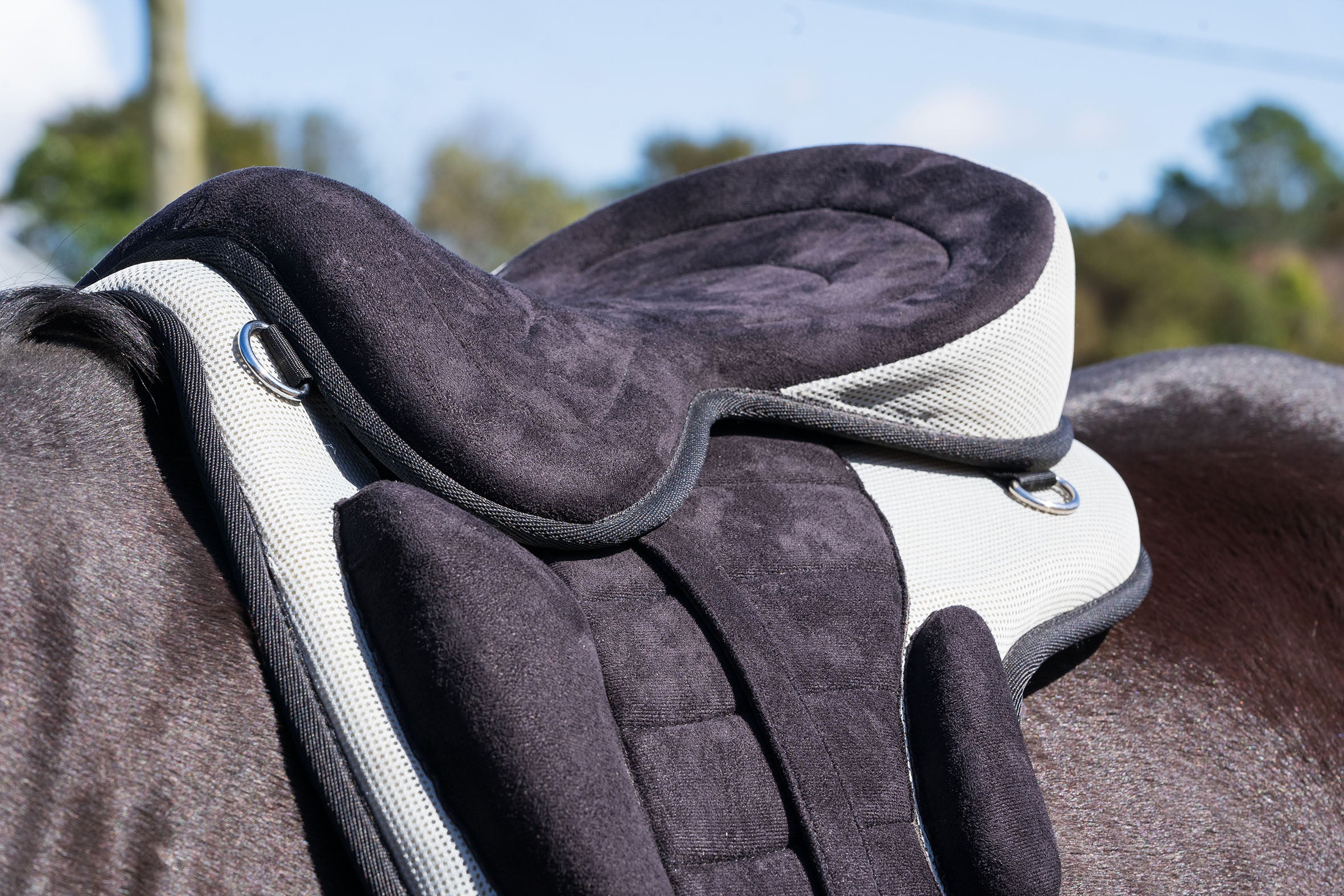 Enzo FreeMax Saddle Blue / 12