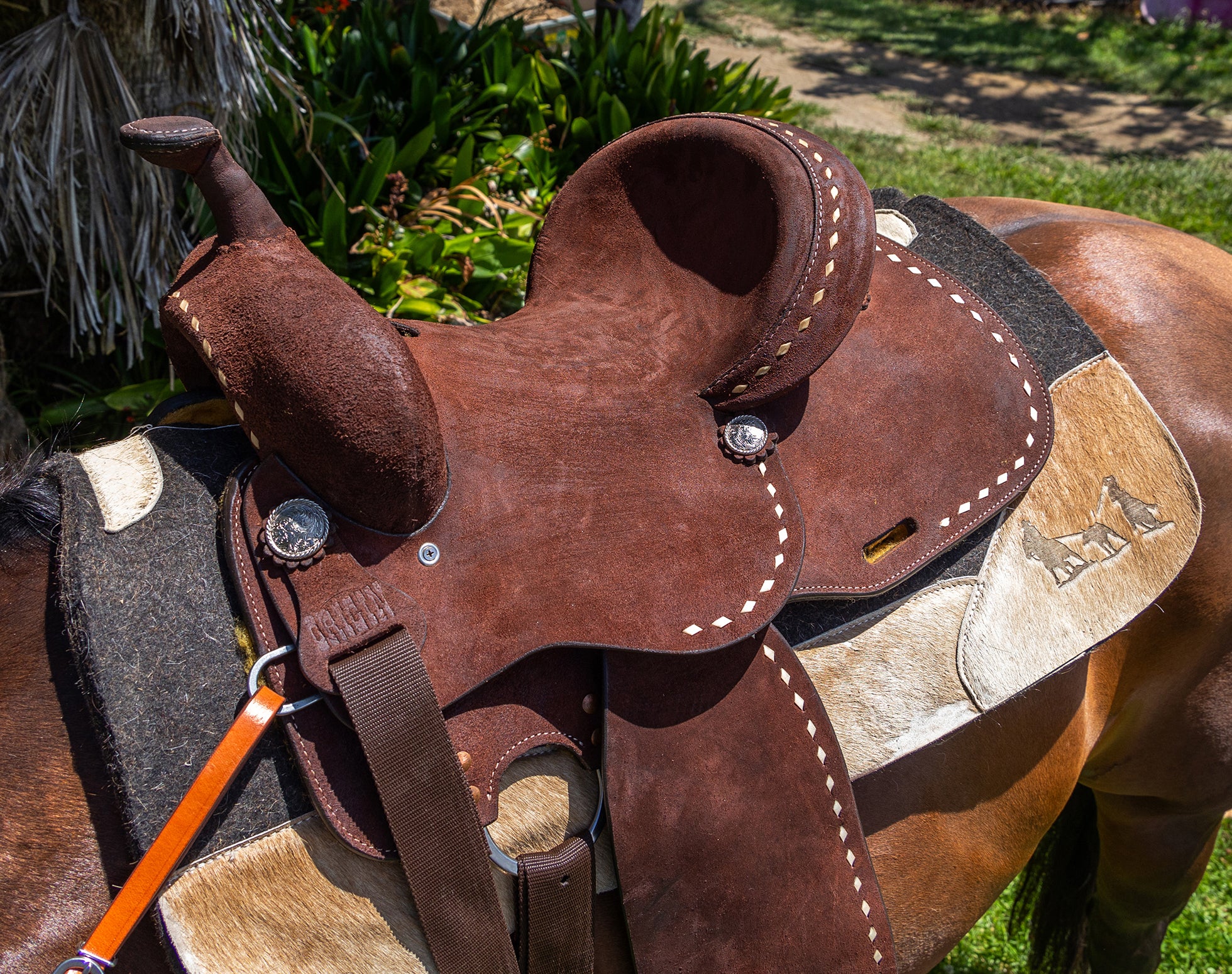Origin Buckstitch Saddle One / 14