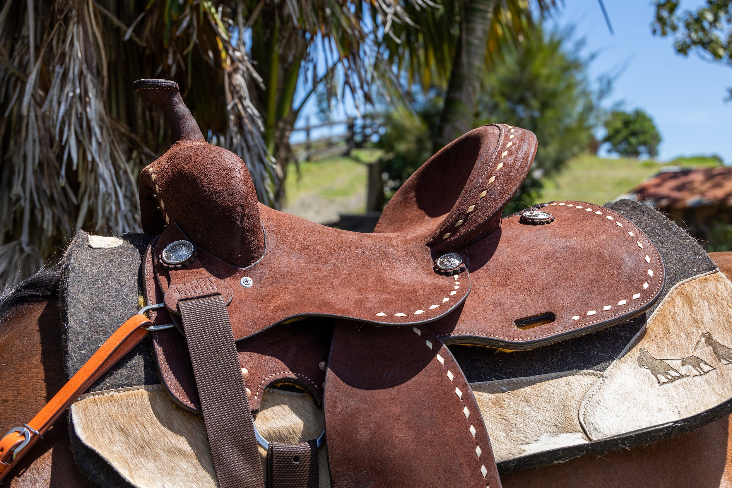 Origin Buckstitch Saddle One / 14