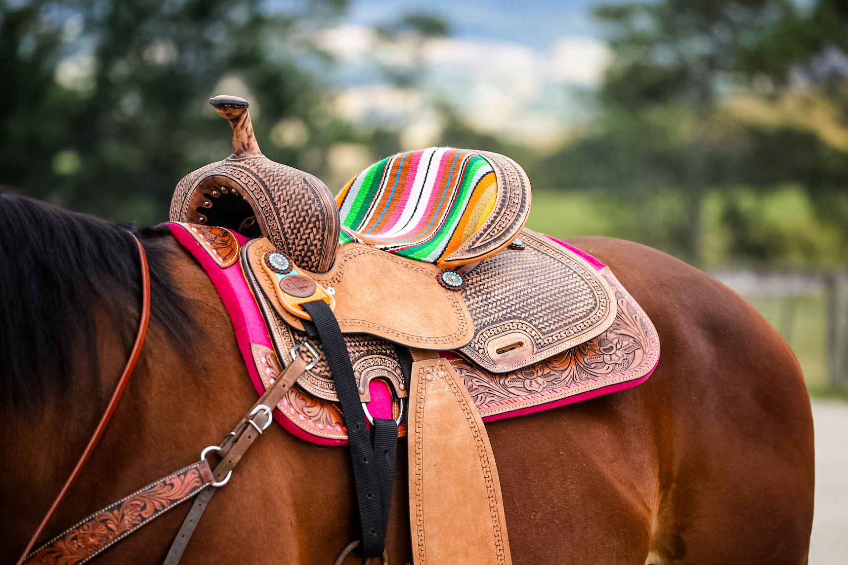 Origin Kota Barrel Saddle One / 12