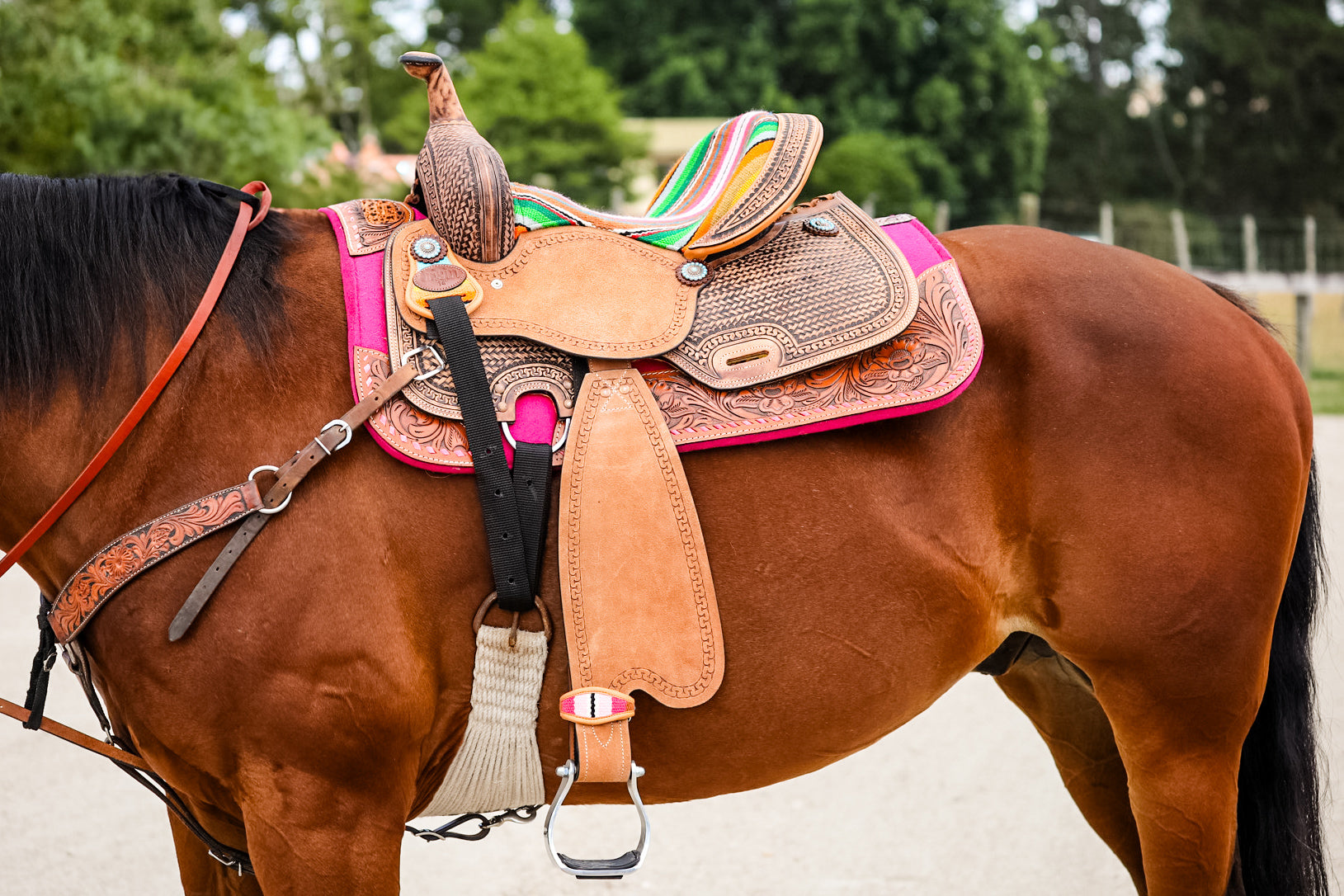 Origin Kota Barrel Saddle One / 12