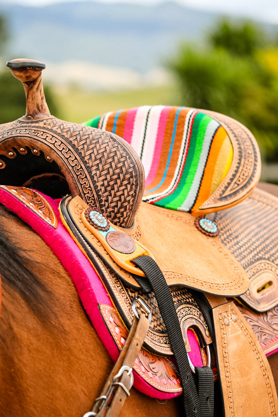 Origin Kota Barrel Saddle One / 12