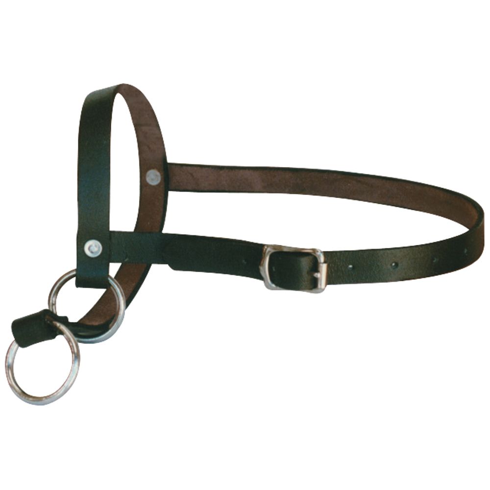 Shoof Leather Calf Leading Halter