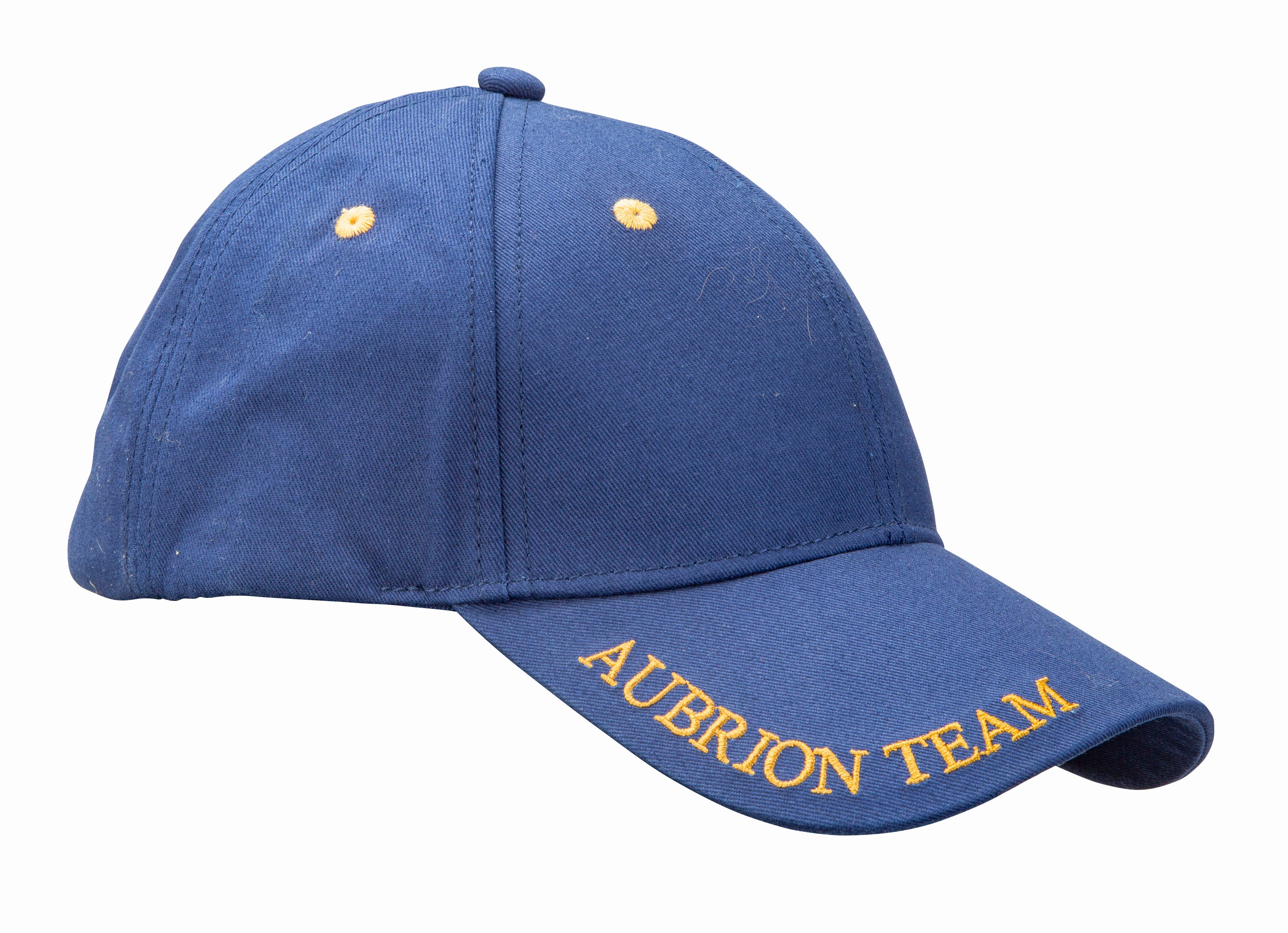 Shires Aubrion Team Cap Moss / All