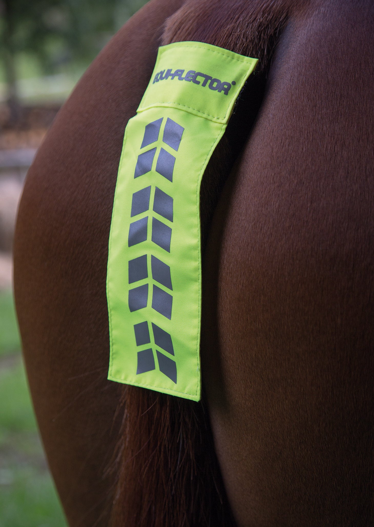 Shires Equiflector Tail Strap (Yellow)
