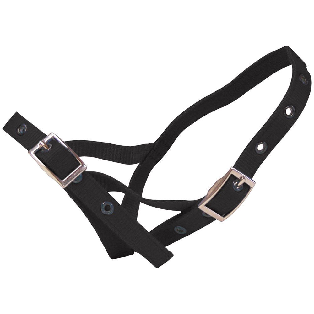 Shoof Halter Nylon Calf Tethering Black / All
