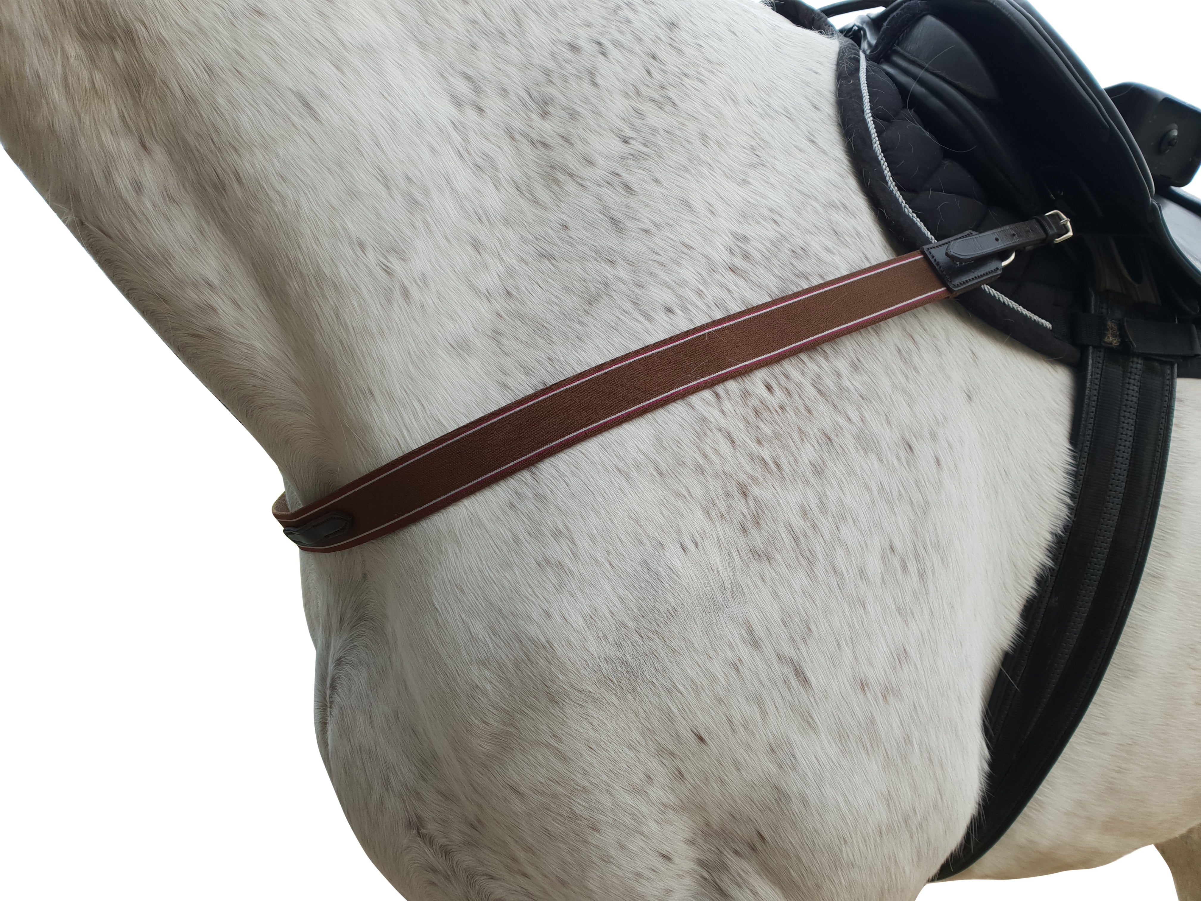 Enzo Straight Elastic Breastplate Black / Full