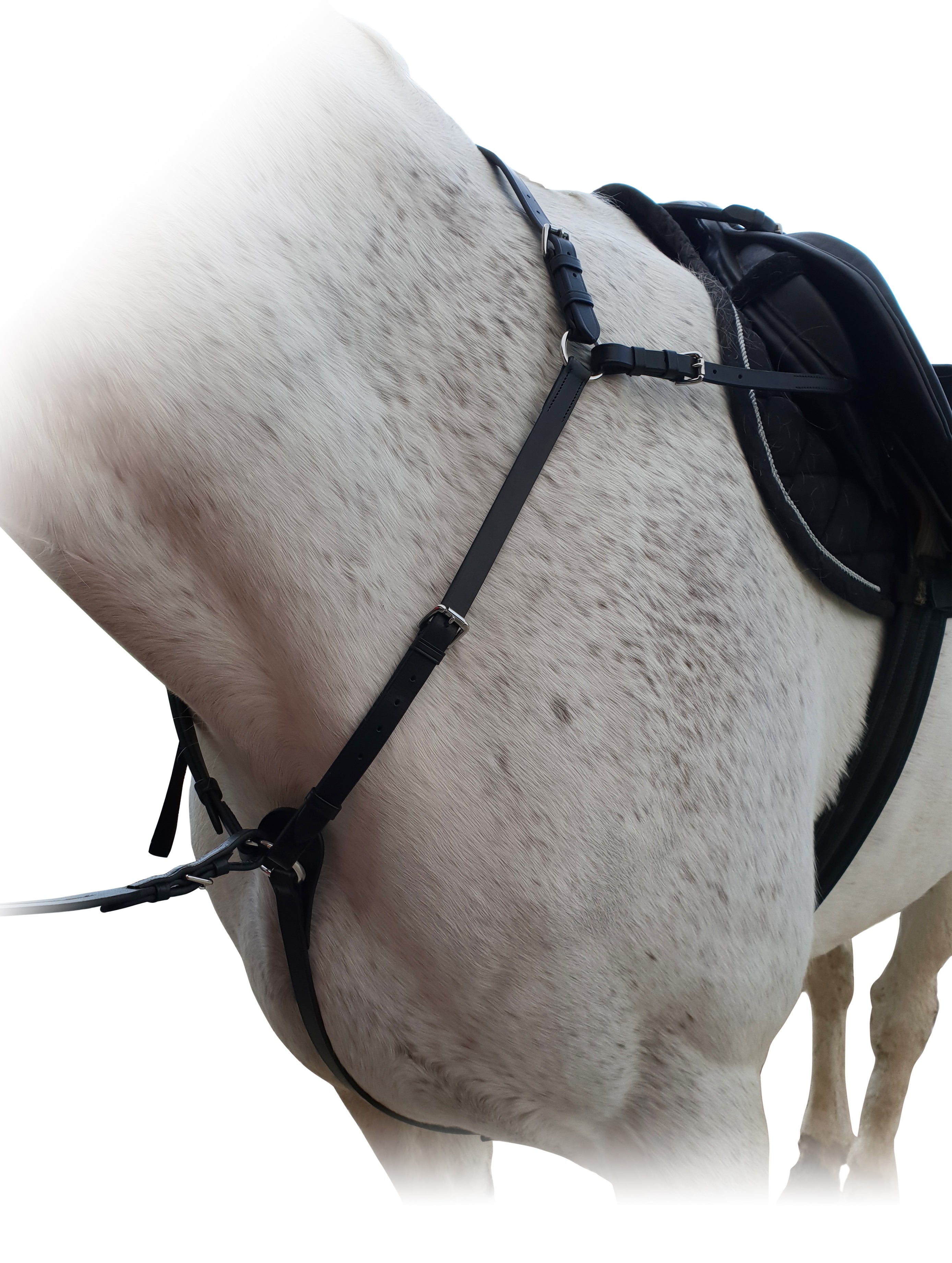 Enzo Three Point Breastplate Black / Cob