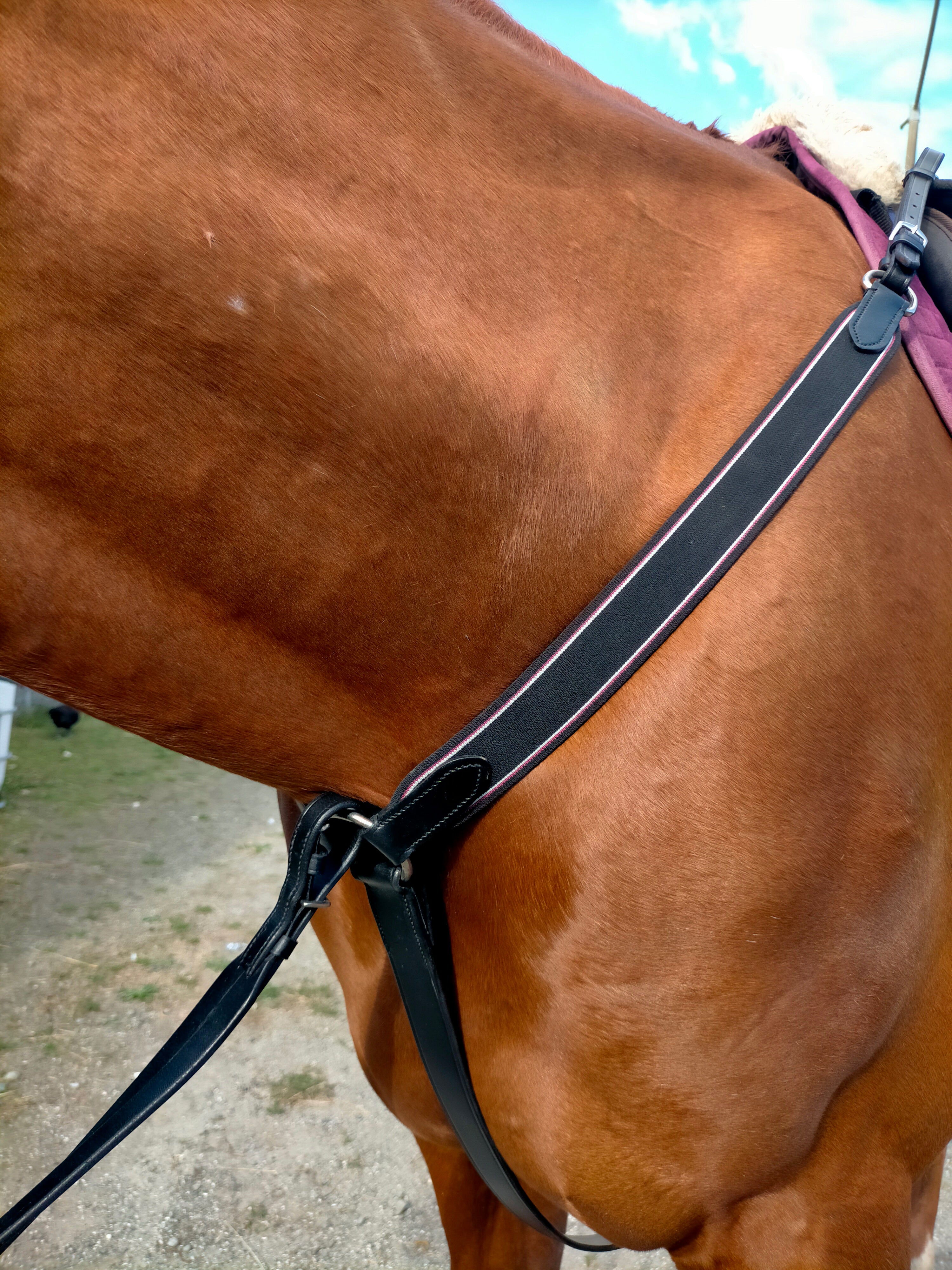 Enzo Y Shape Elastic Breastplate Black / X Full