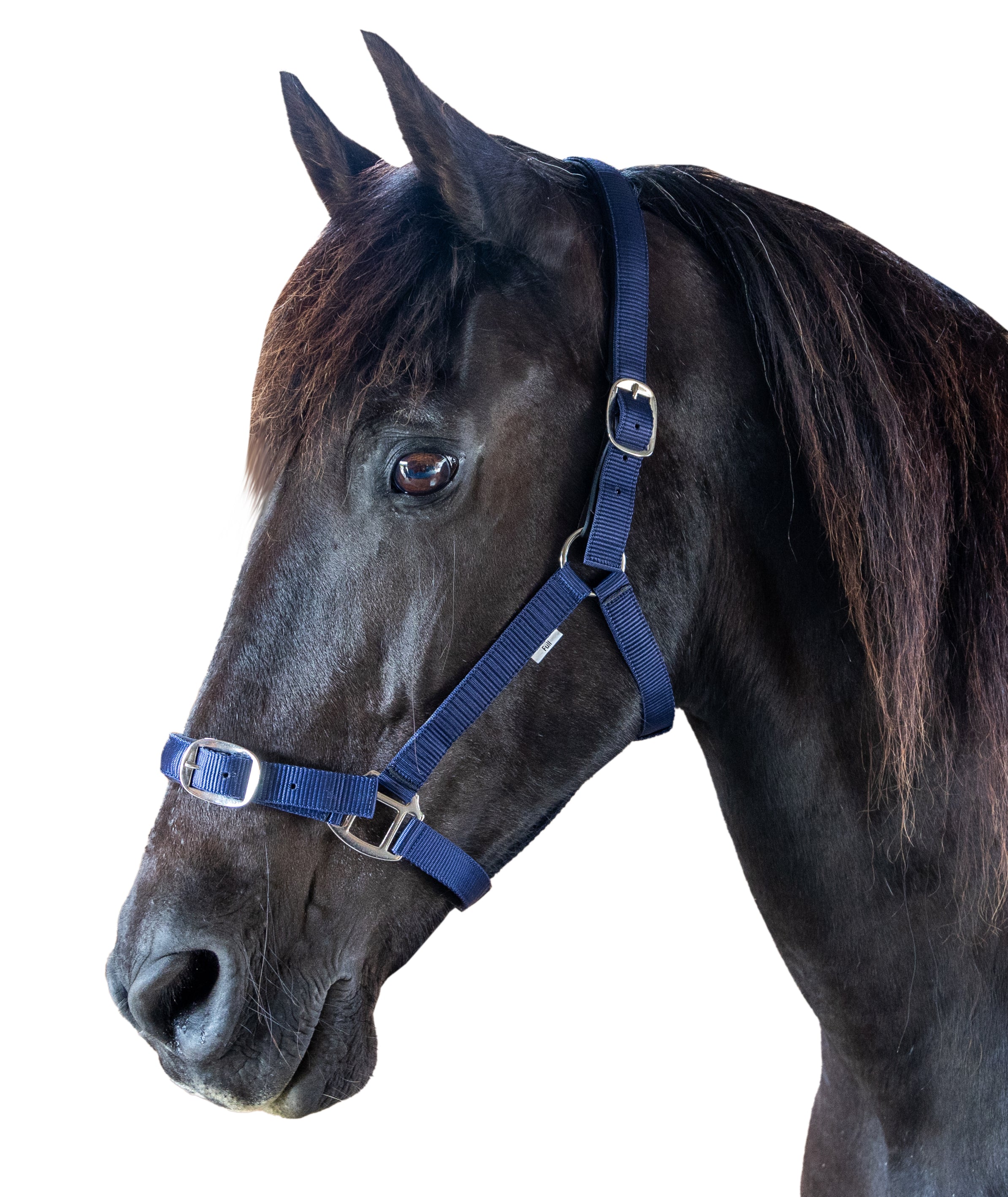 Prima Plus Breakaway Halter Navy / X Full